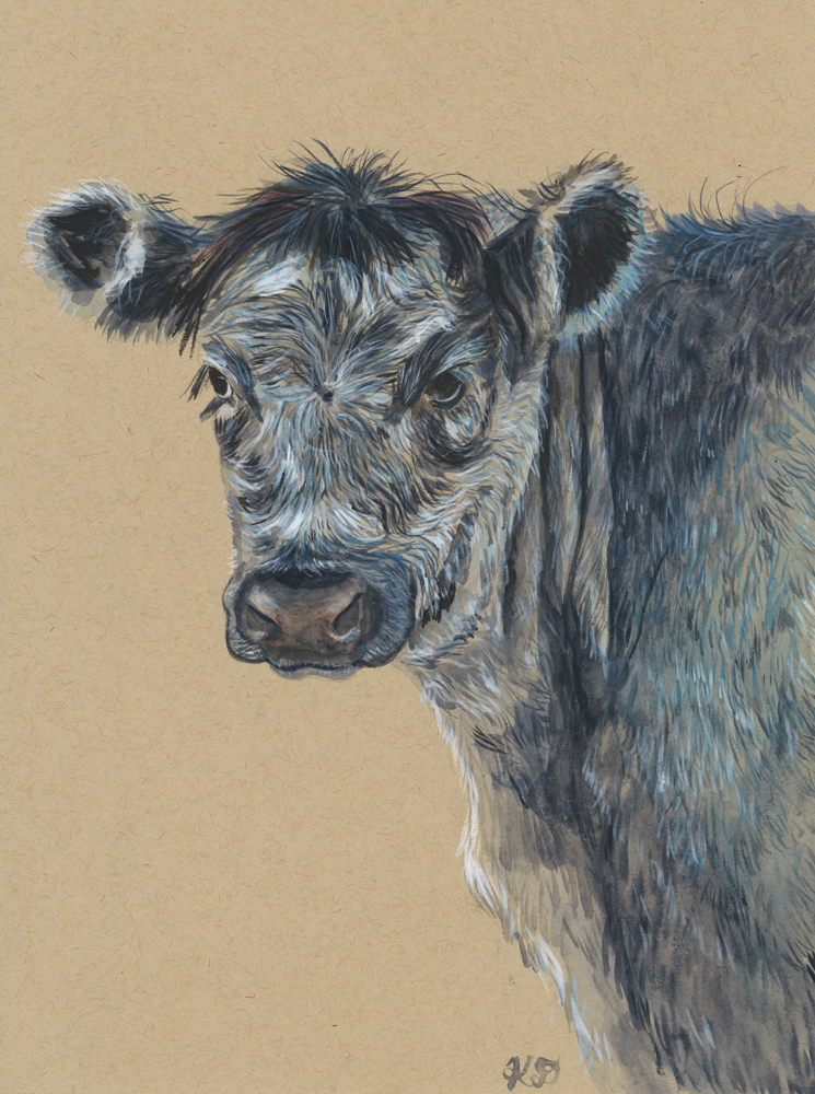 Blue Grey Cow - Original