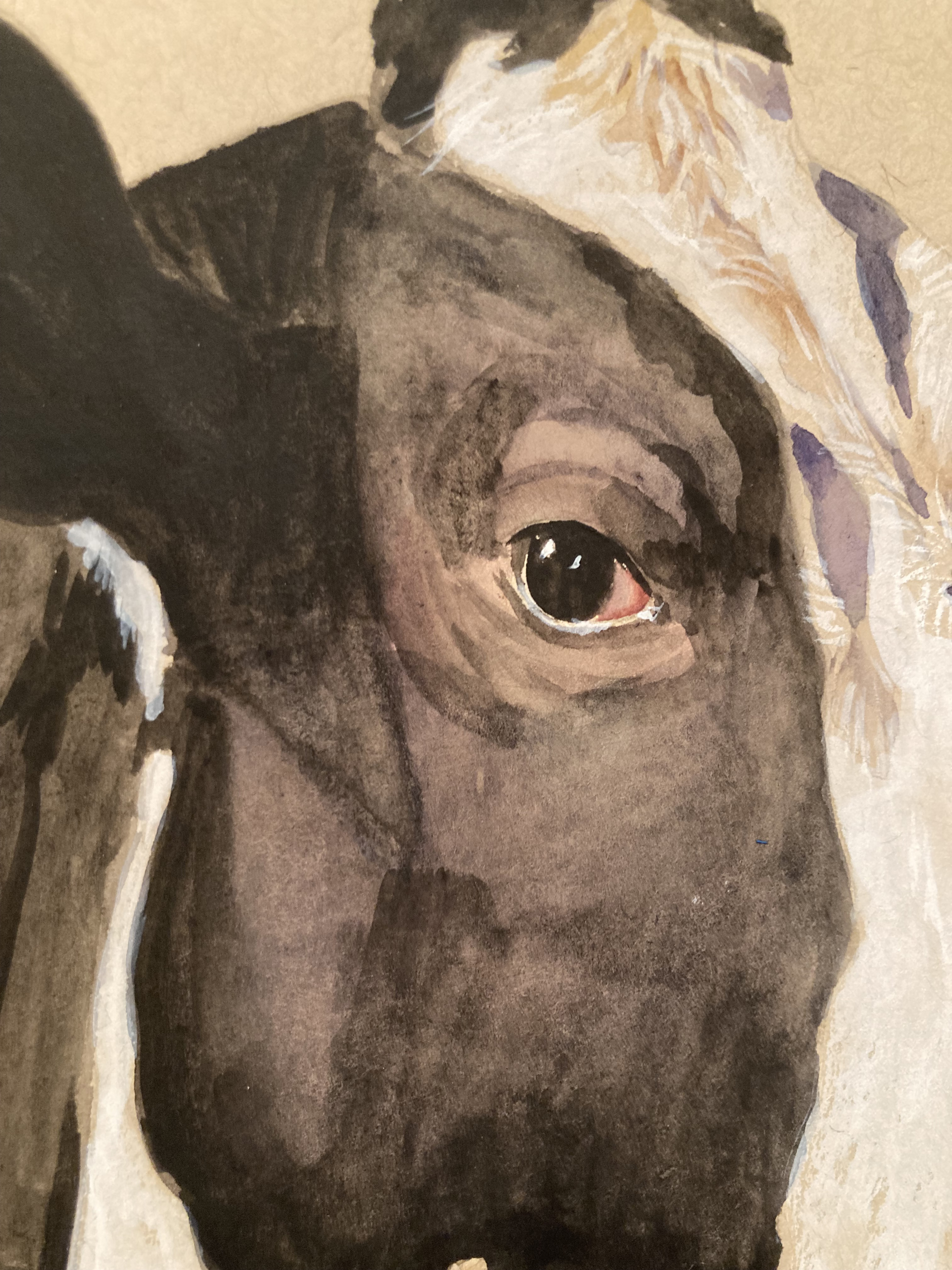 Holstein Cow - Original