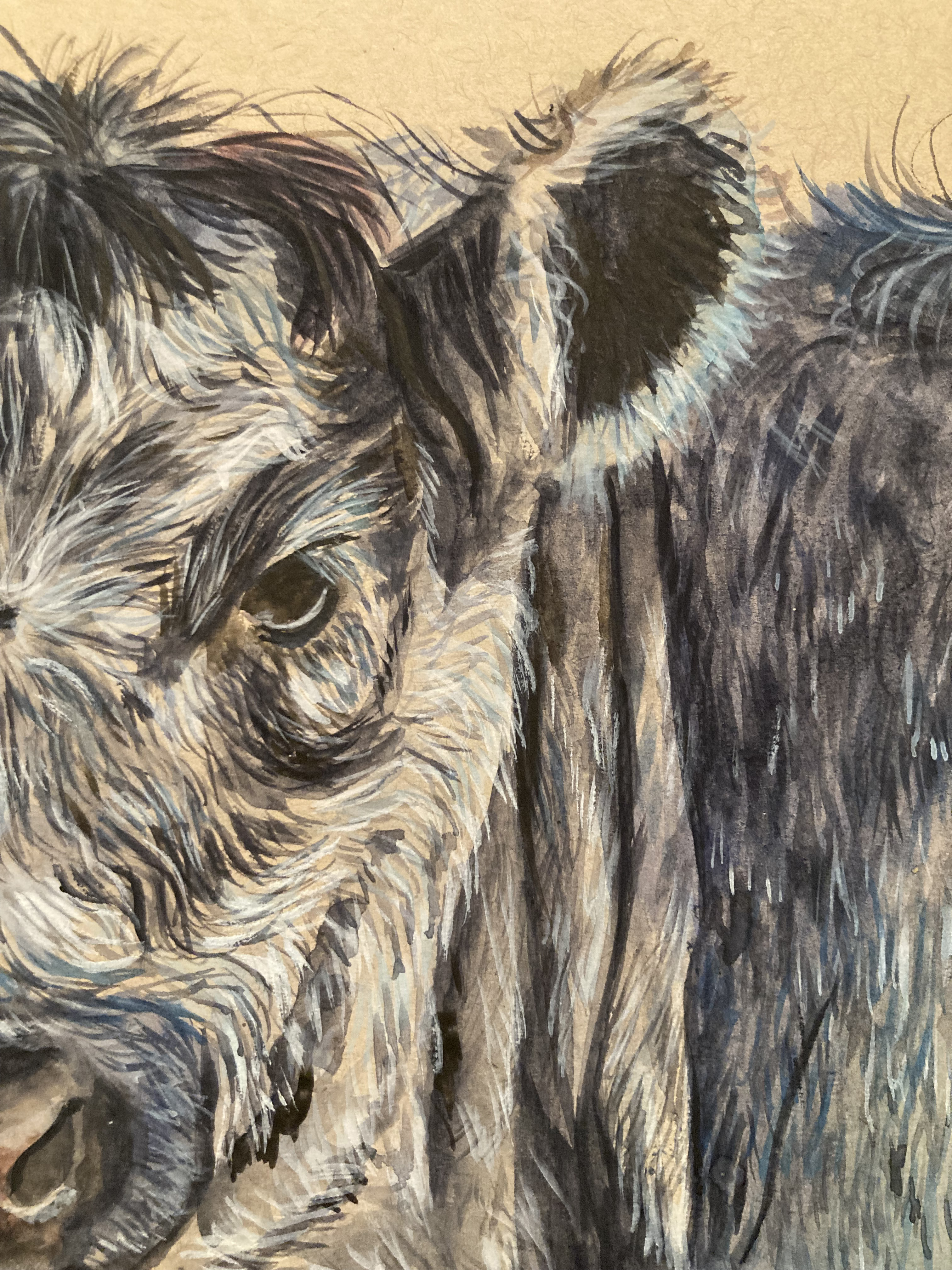 Blue Grey Cow - Original