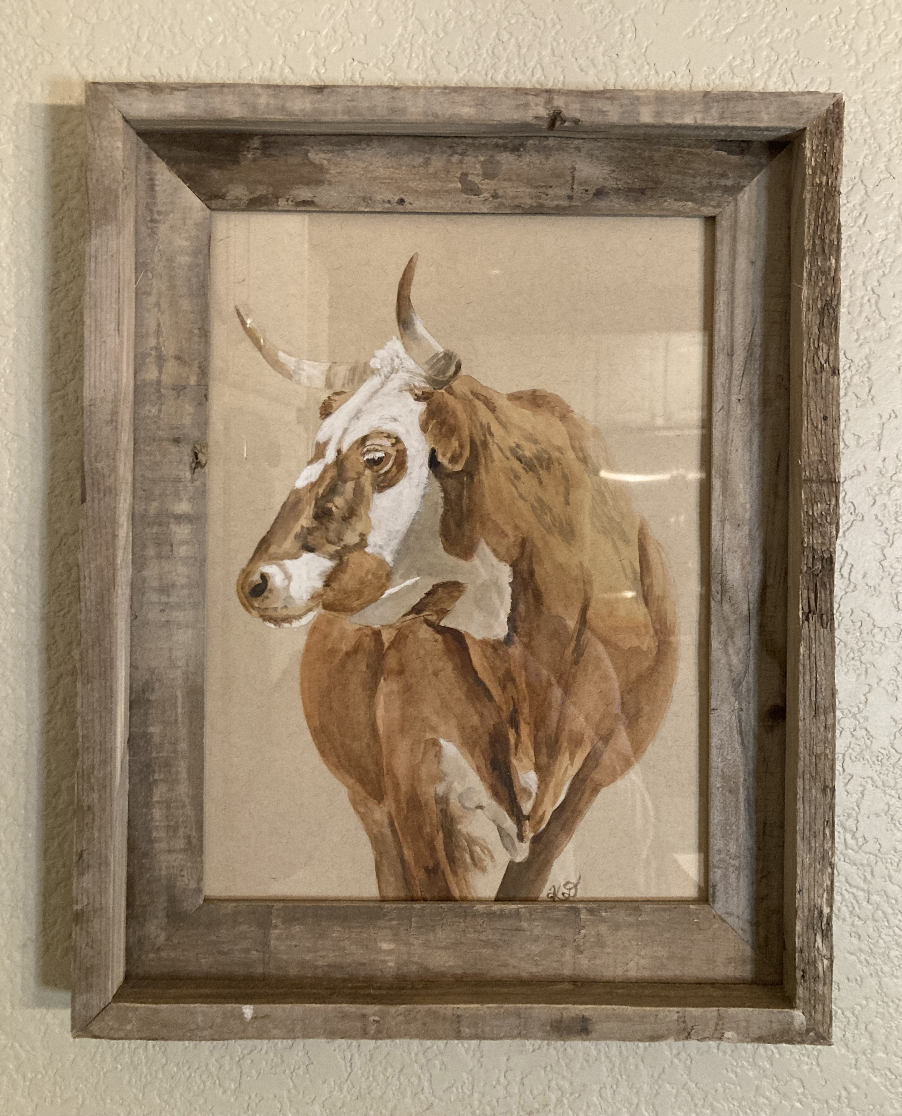 Criollo Cow - Original