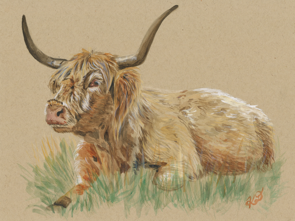 Blonde Scottish Holstein Cow - Original