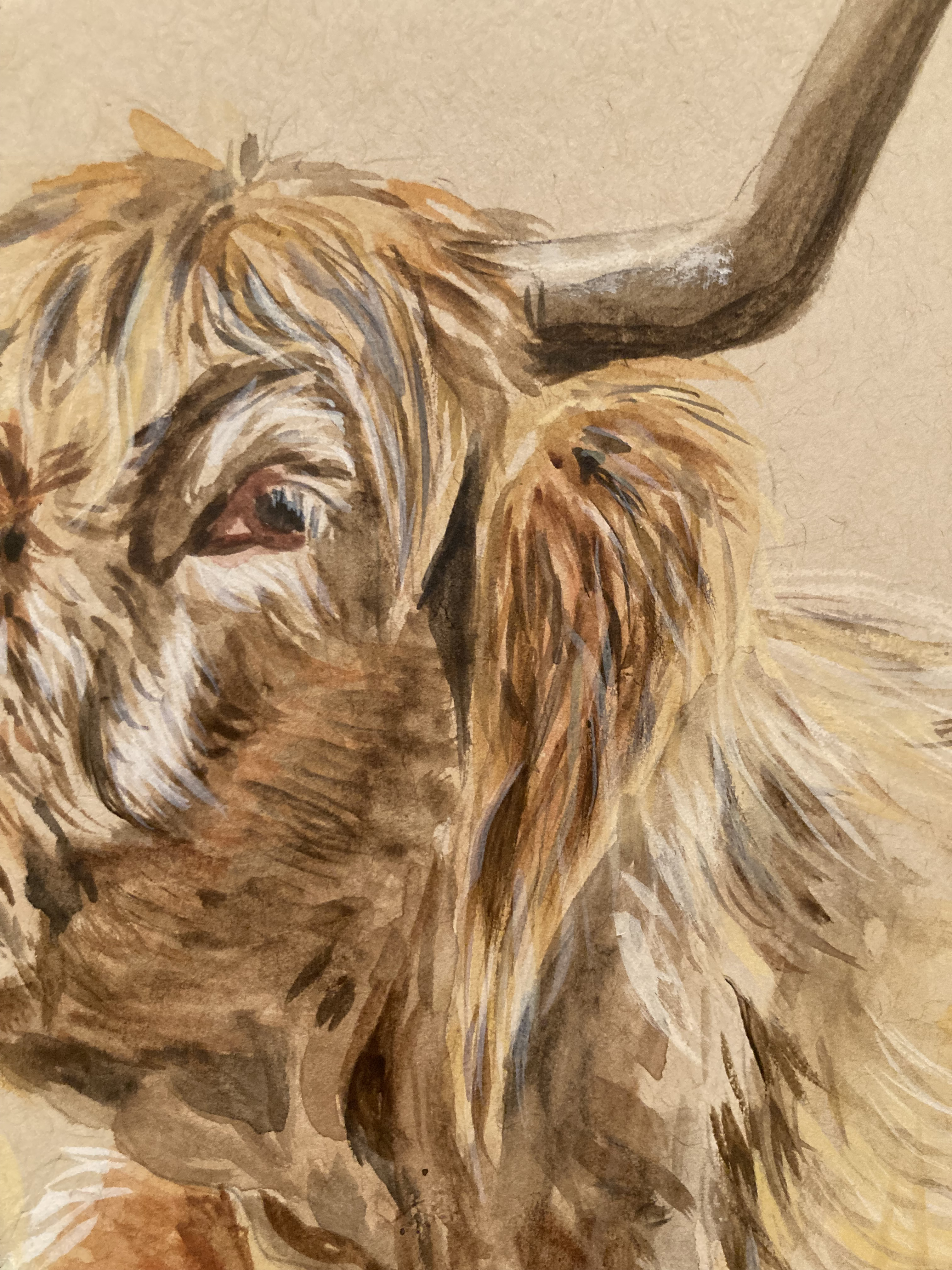 Blonde Scottish Holstein Cow - Original