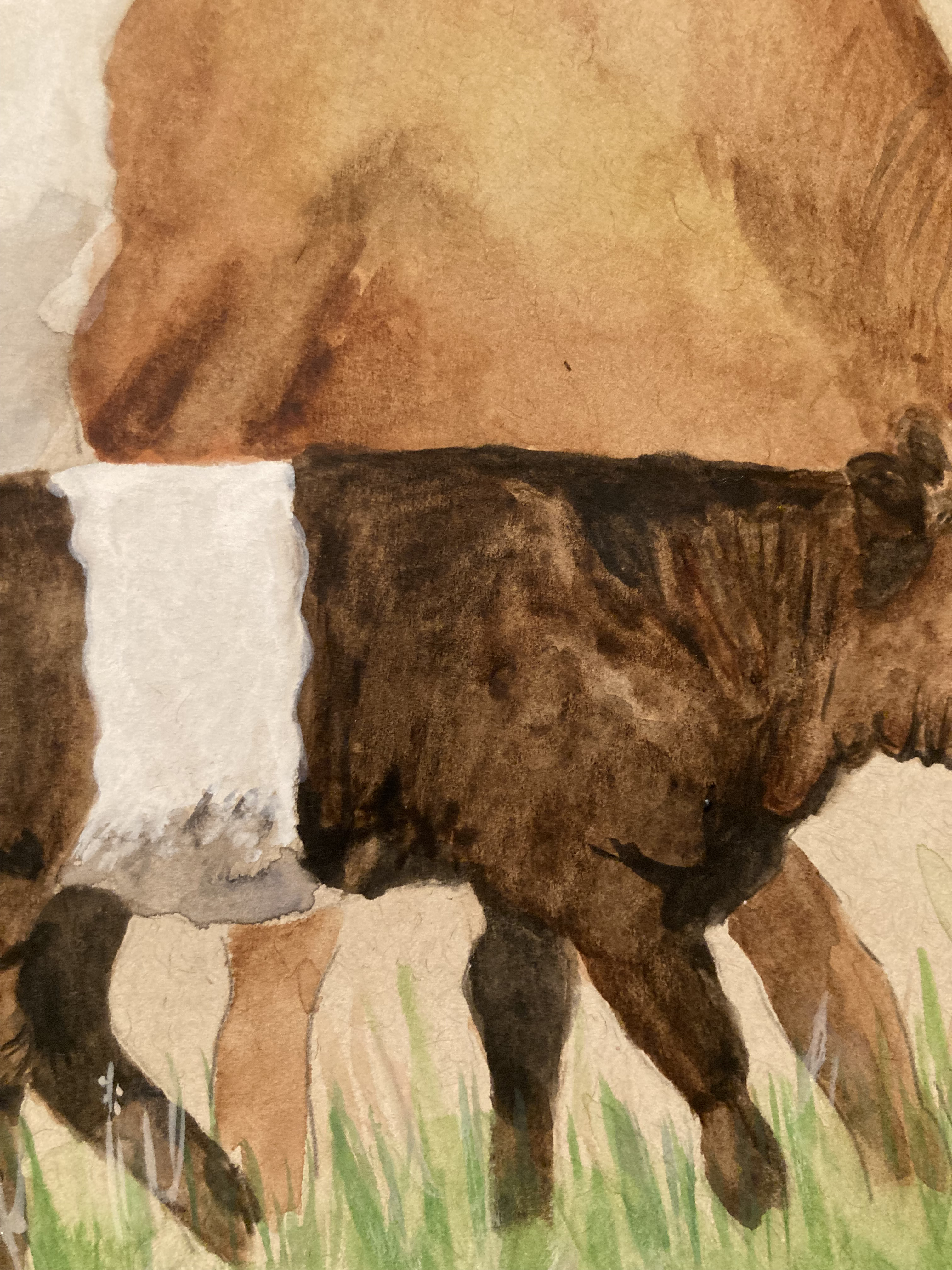 Lakenvelder Mother and Calf - Original