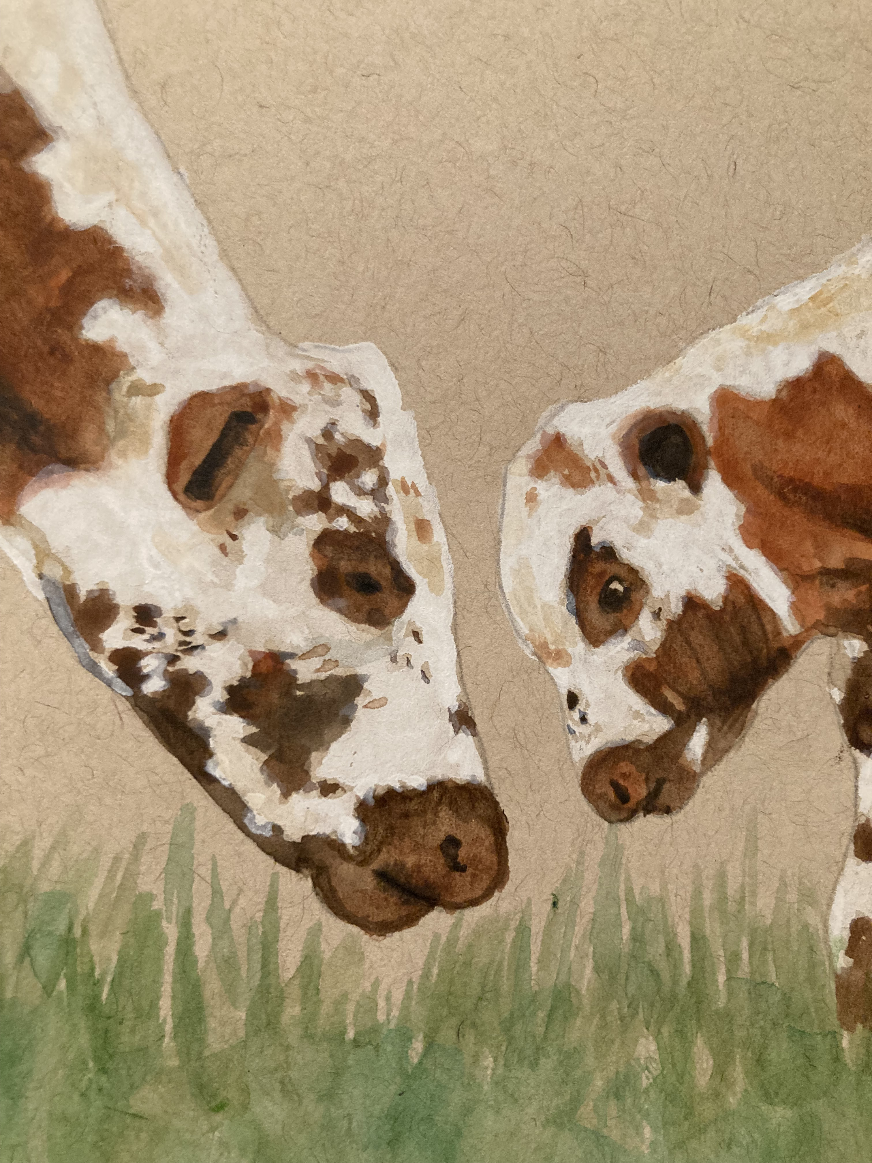 Irish Moiled Mother and Calf - Original