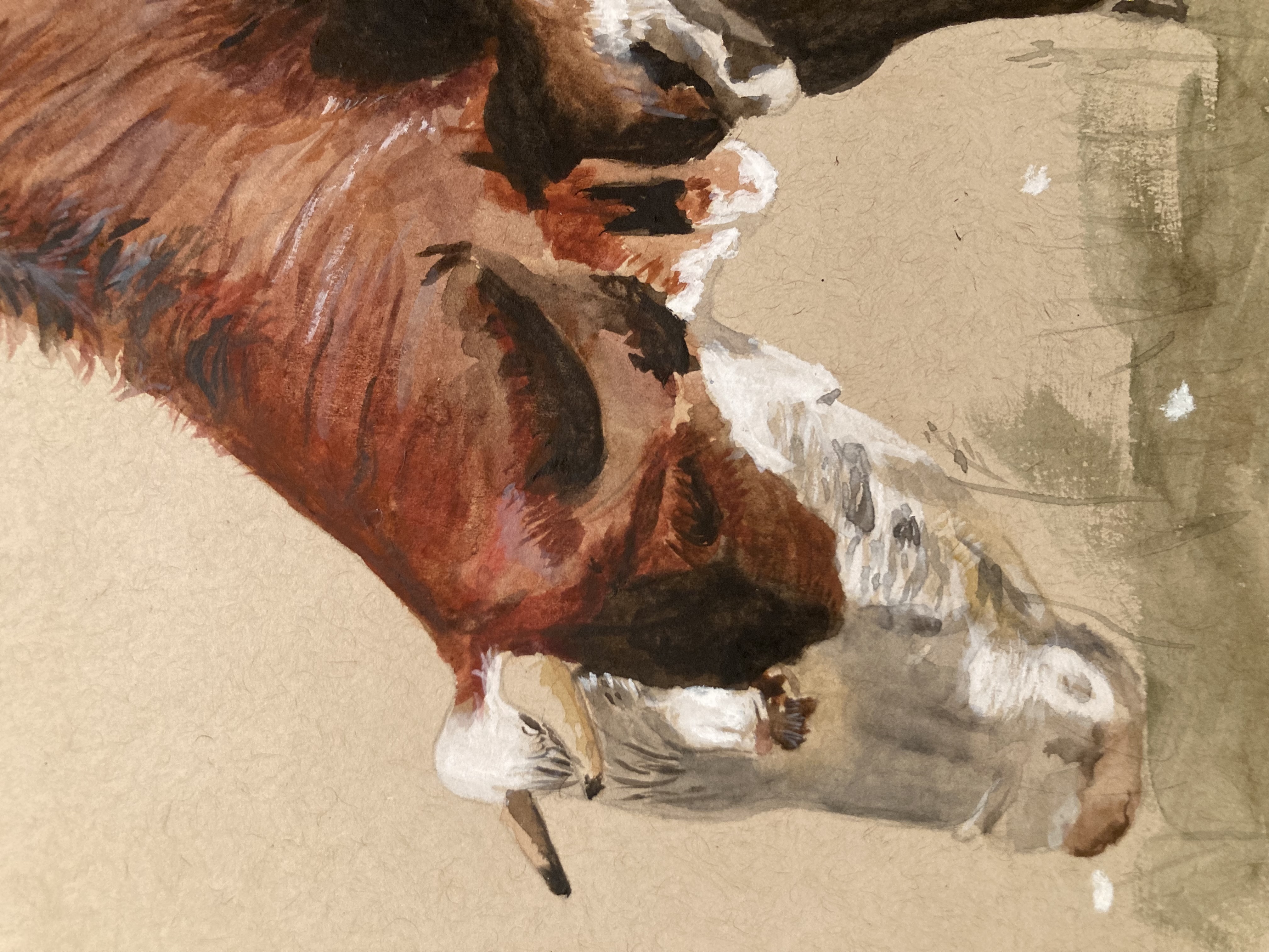Abondance Cow - Original