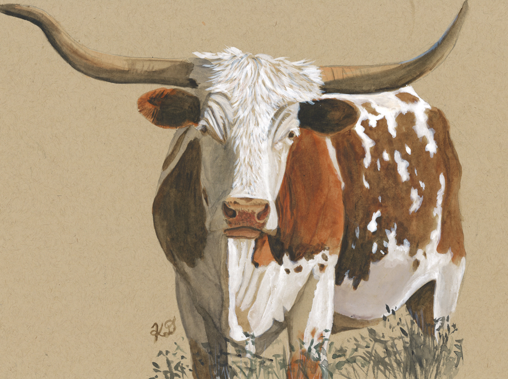 Texas Longhorn Cow - Original