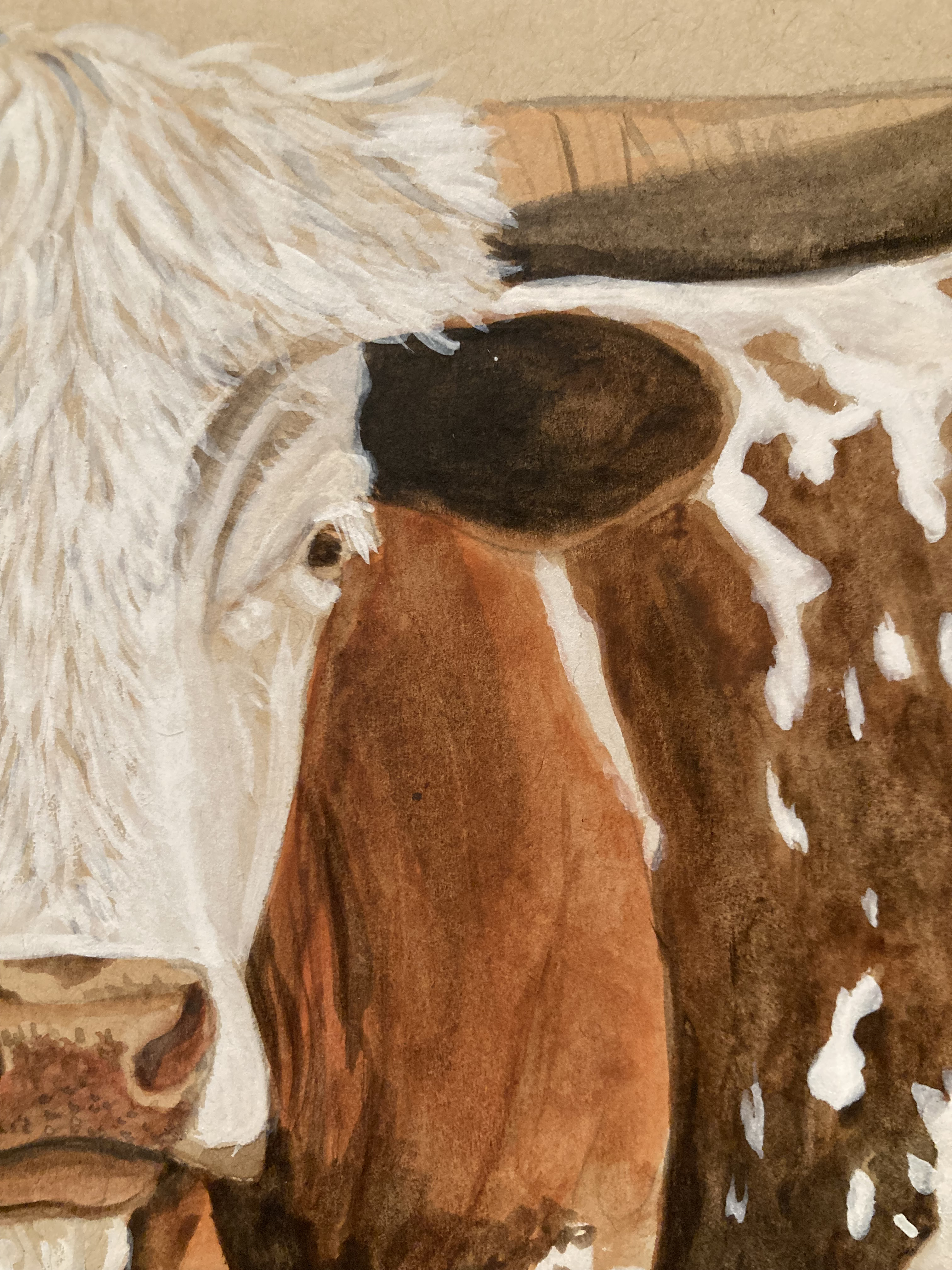 Texas Longhorn Cow - Original