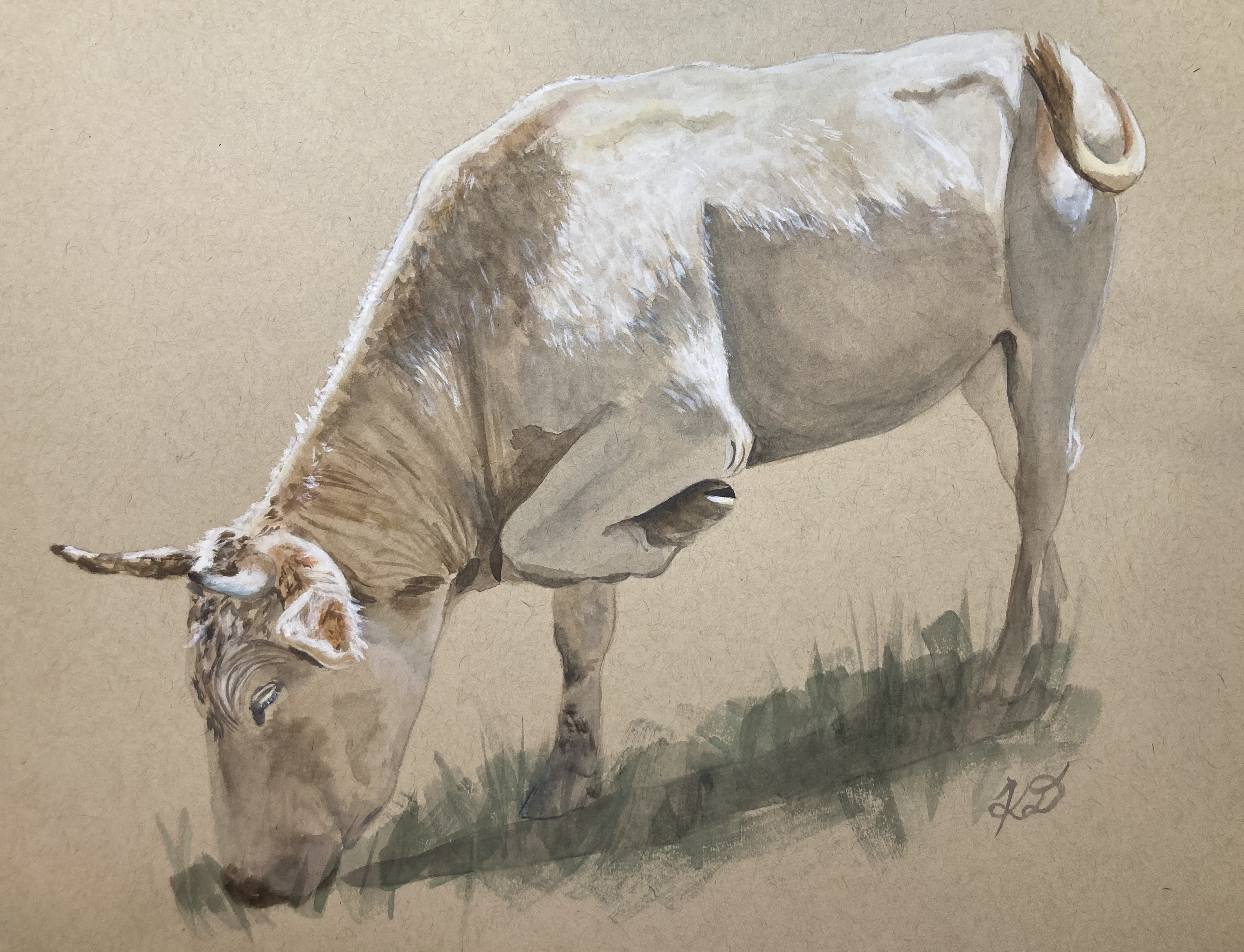 Blonde D-Aquitaine Cow - Print