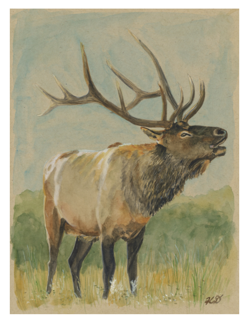 Summons - Print