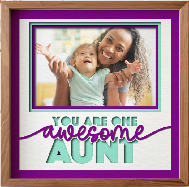 SBox You Are One Awesome Aunt 12" X 12" Shadow Box Frame