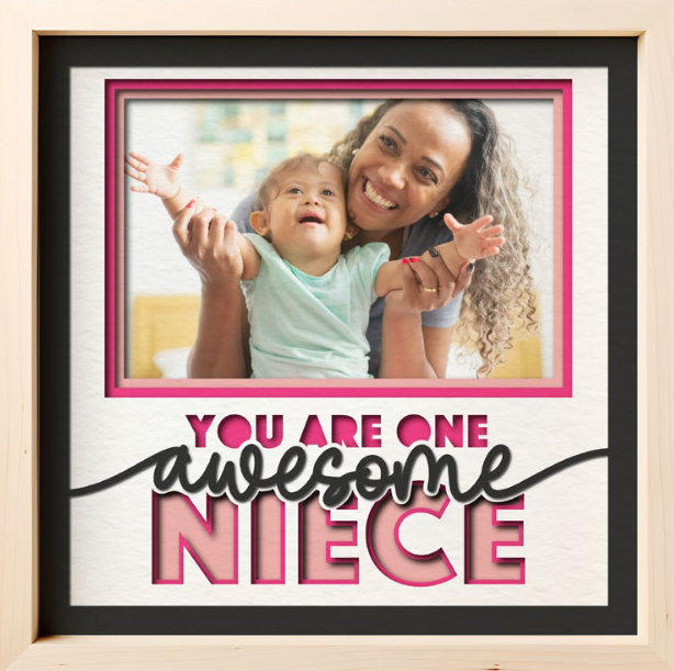 SBox "One Awesome Niece" 12" X 12" Shadow Box Frame