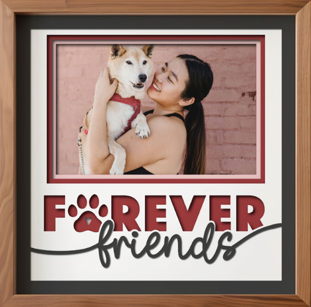 SBox "Forever Friends" 12" X 12" Shadow Box Frame