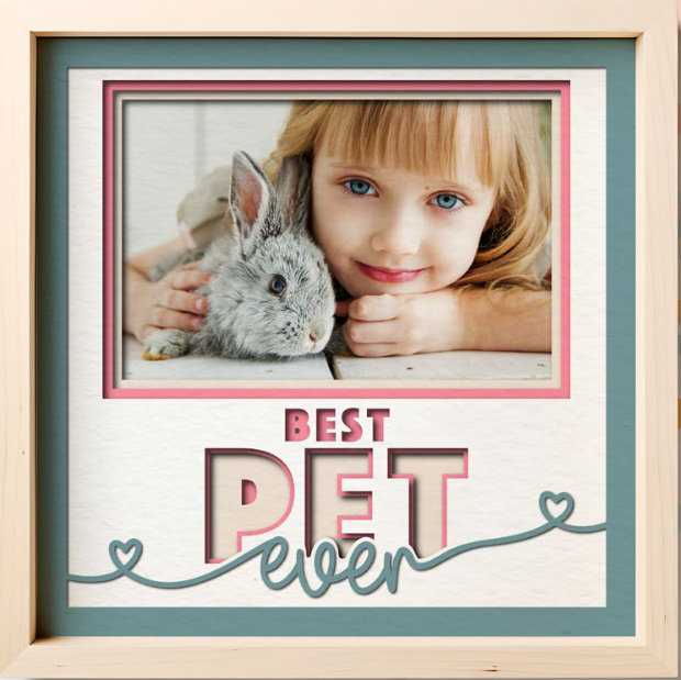 SBox "Best Pet Ever" 12" X 12" Shadow Box Frame