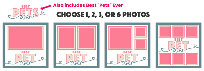 SBox "Best Pet Ever" 12" X 12" Shadow Box Frame