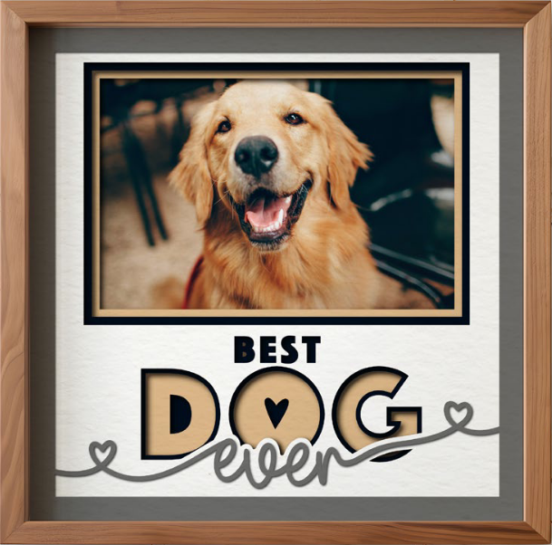 SBox "Best Dog Ever" 12" X 12" Shadow Box Frame