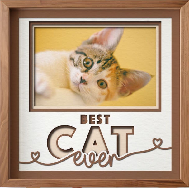 SBox "Best Cat Ever" 12" X 12" Shadow Box Frame