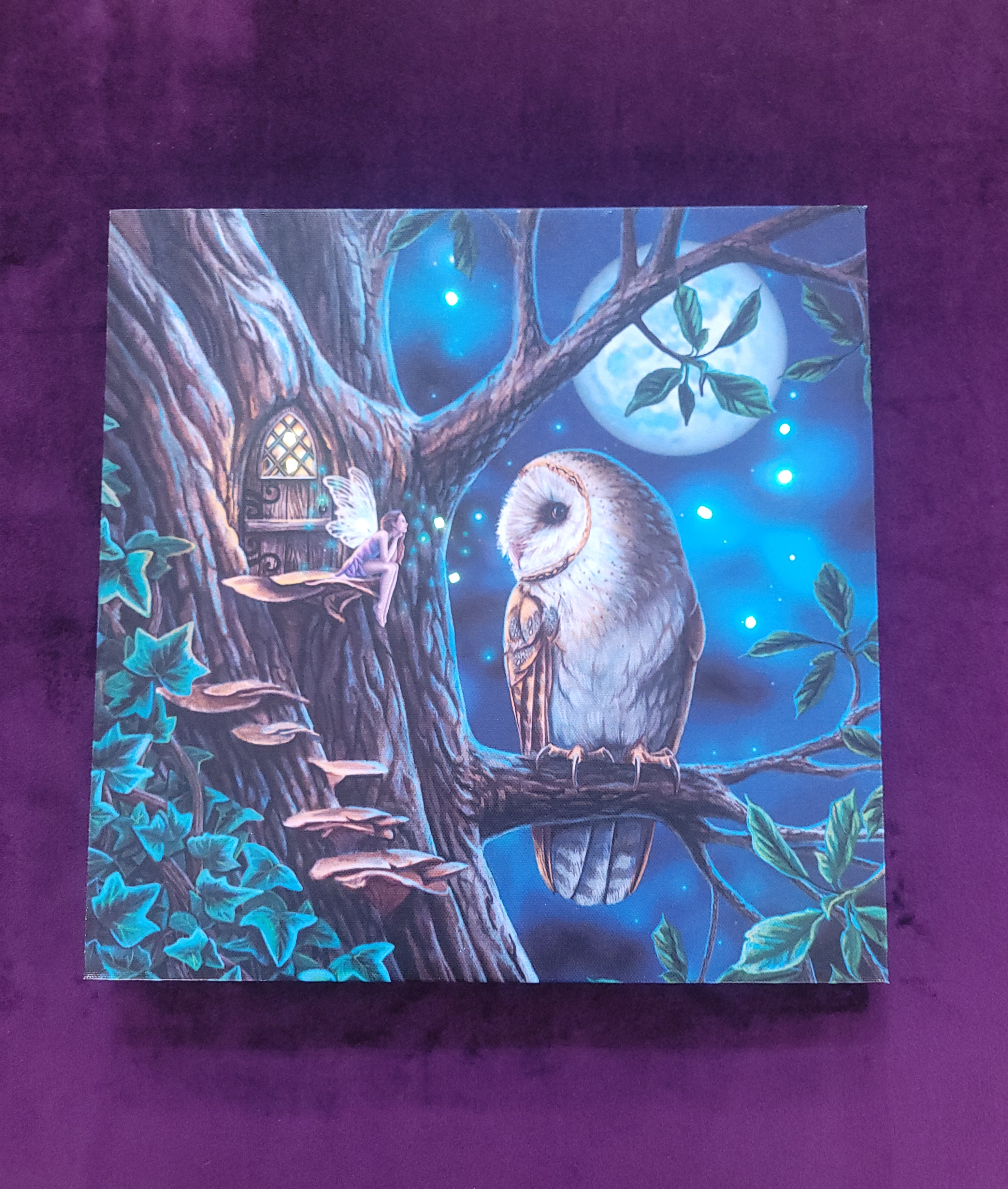 Cuadro con Luz, Cuento de Hadas de Lisa Parker.