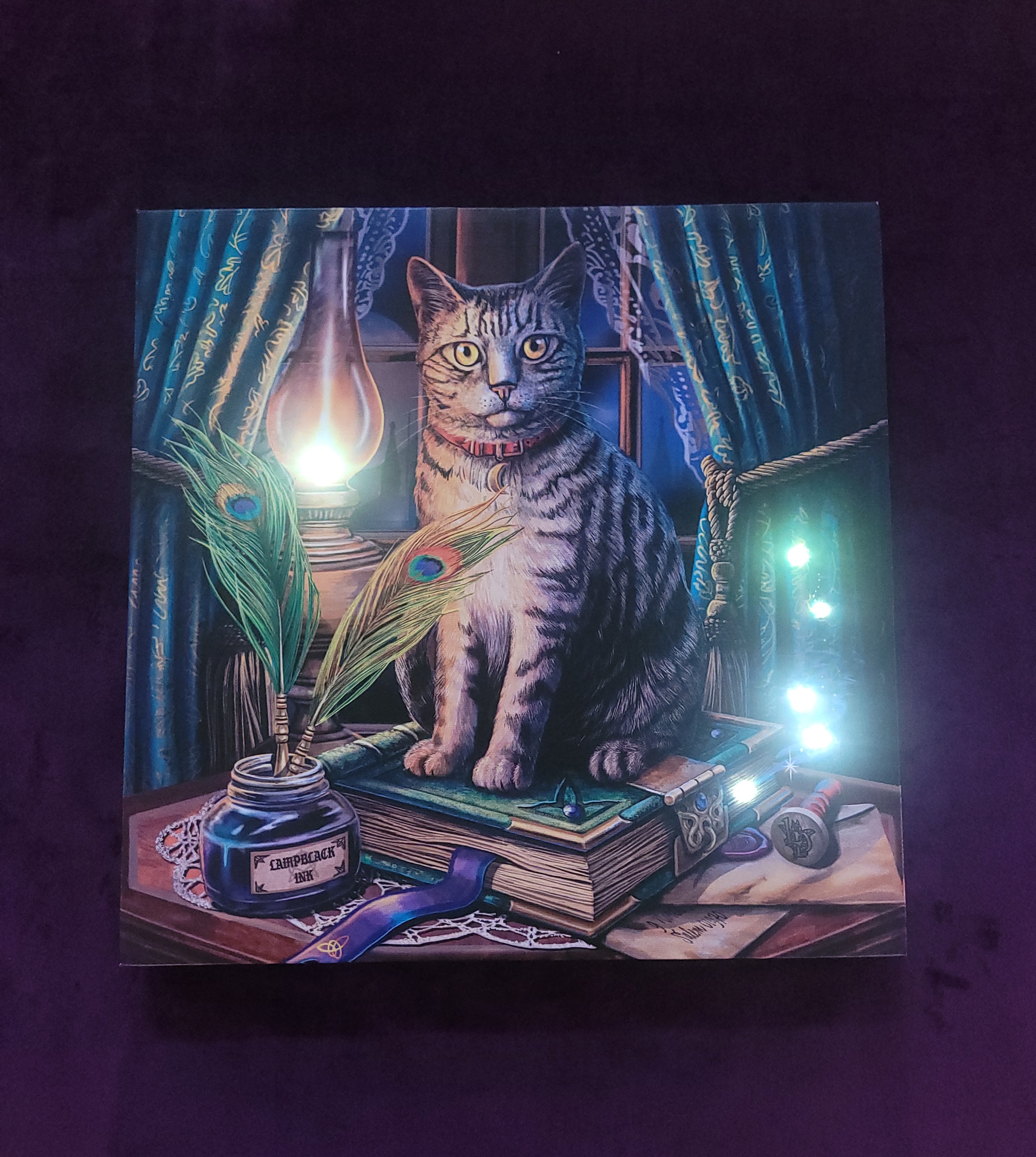 Cuadro con Luz, Libro de las Sombras de Lisa Parker.