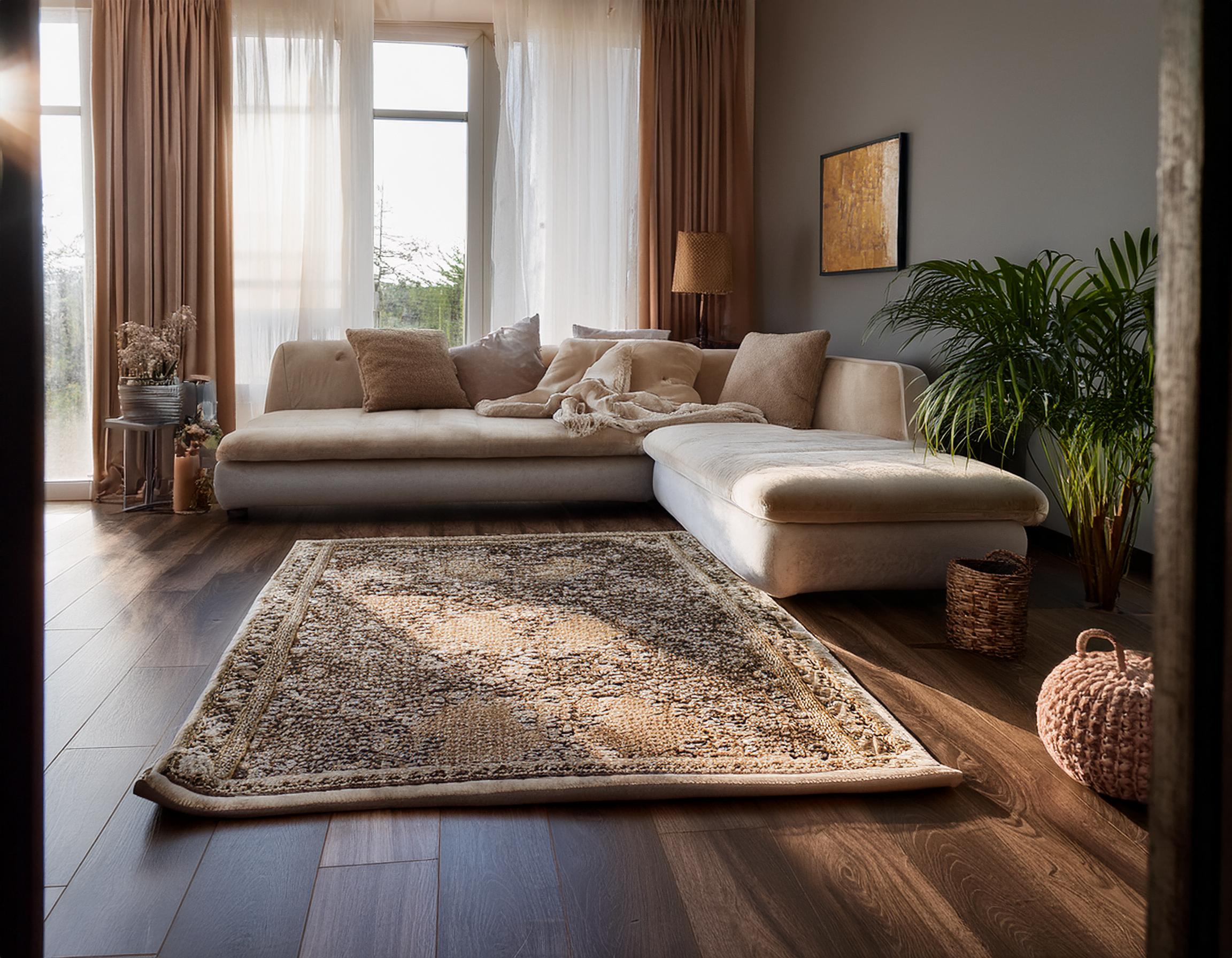 Elegant Living Room Rug