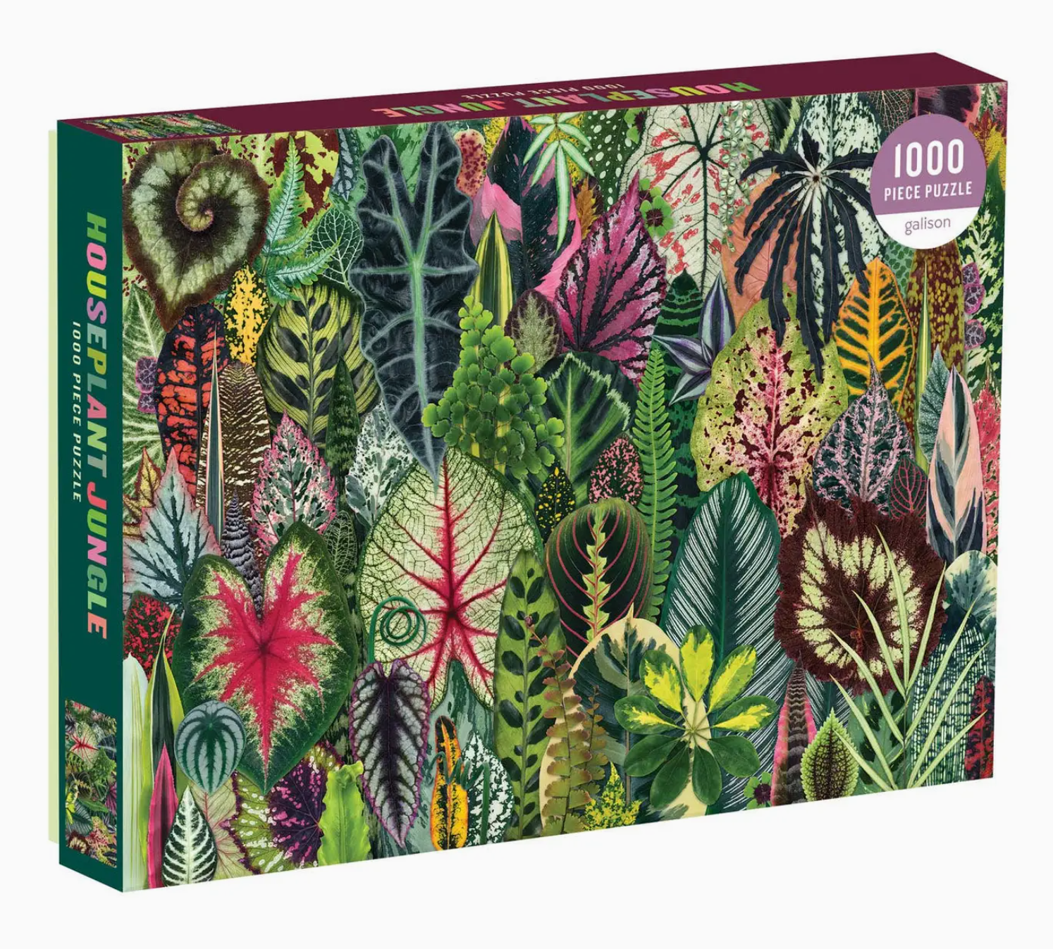 Houseplant Jungle Puzzle