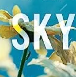 Eyes Turned Skyward (Flight & Glory, Bk. 2)
