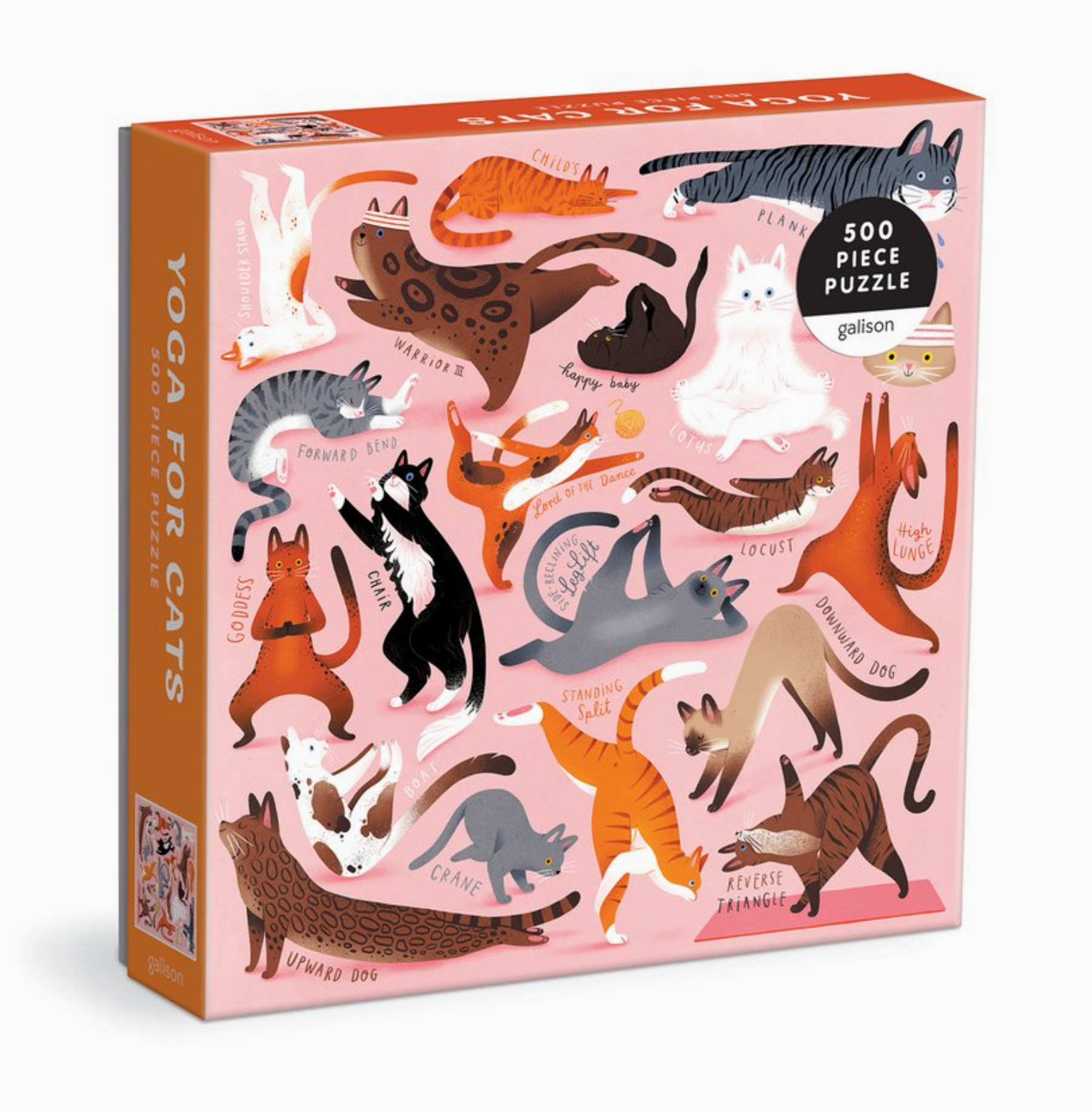Yoga For Cats