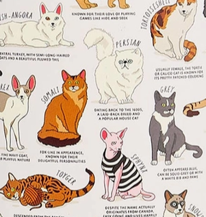 Cat Lover's Jigsaw Puzzle