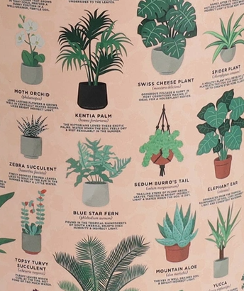 Houseplants Jigsaw Puzzle