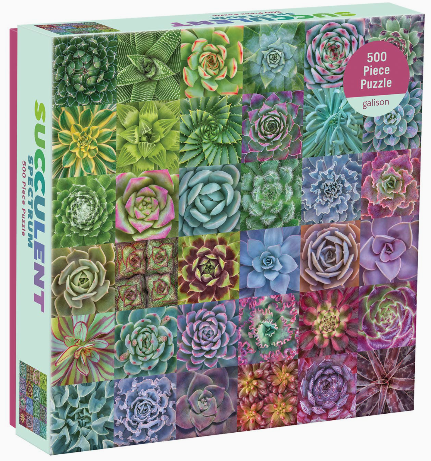 Succulent Spectrum Puzzle