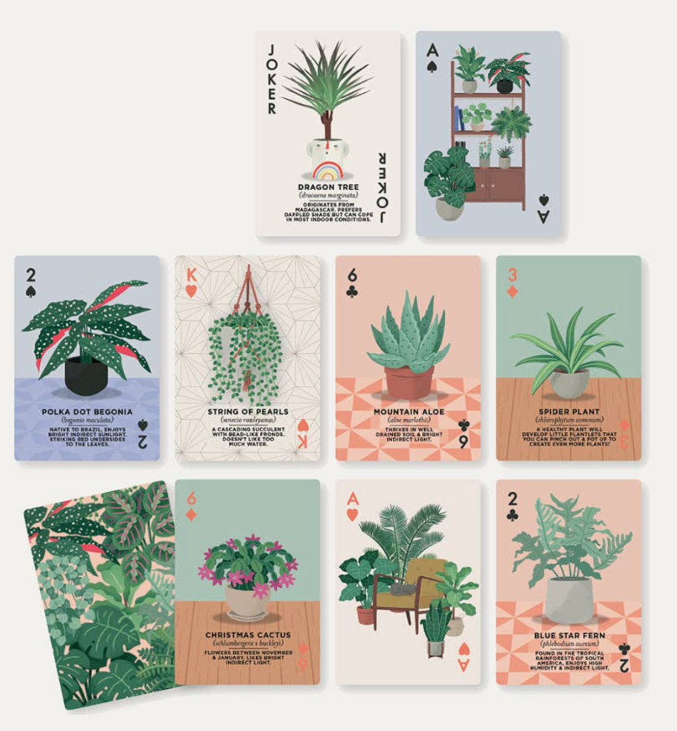 Houseplants Playing Cards
