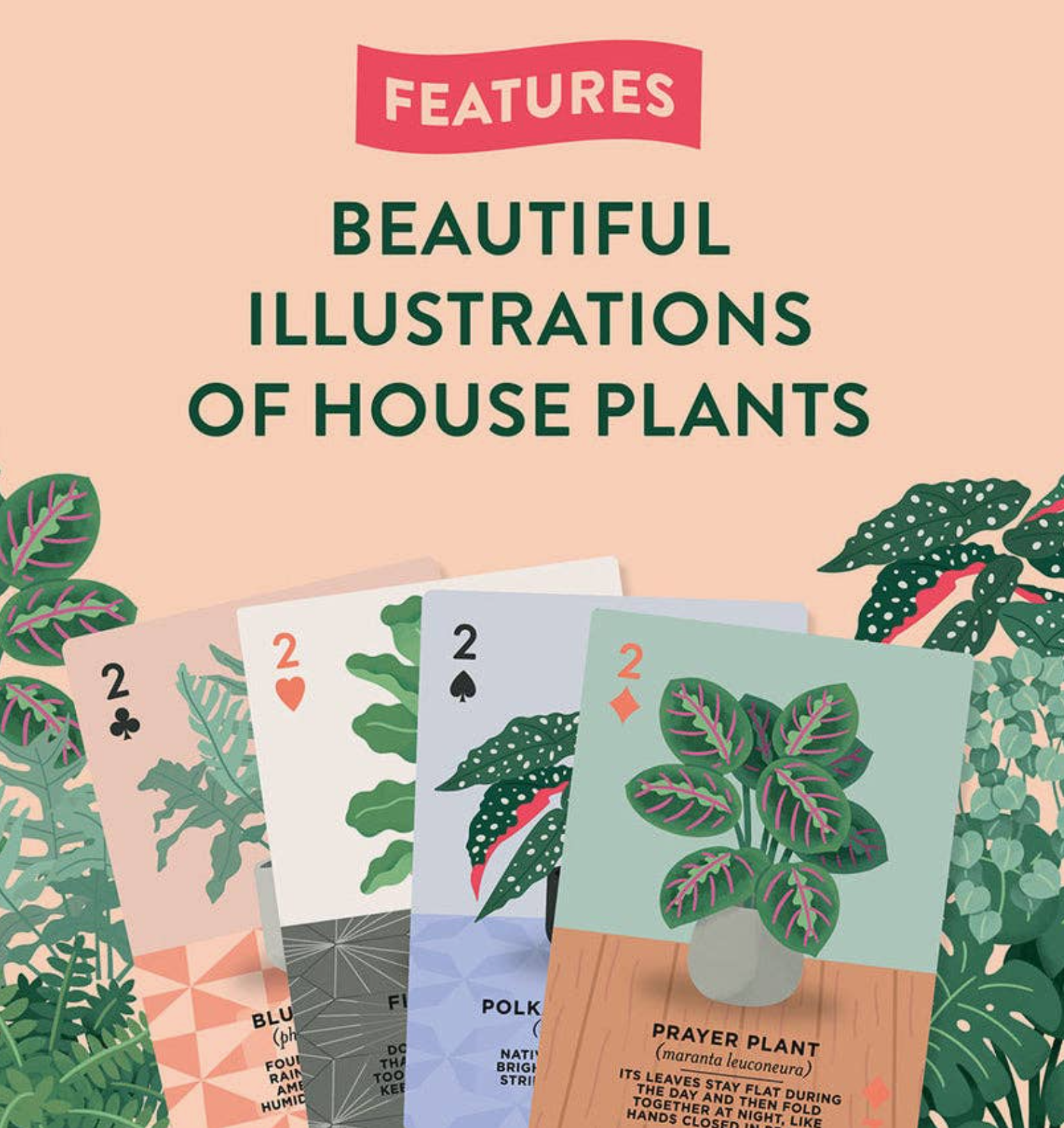 Houseplants Playing Cards