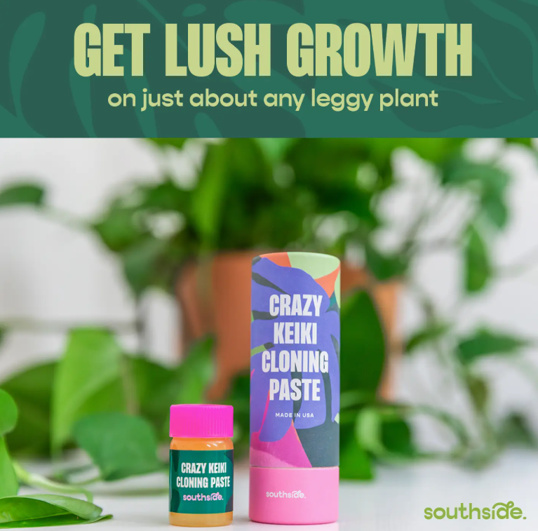 Crazy Keiki Cloning Paste