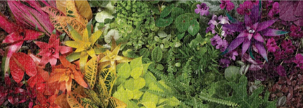 Plant Life 1000 Piece Panoramic Puzzle