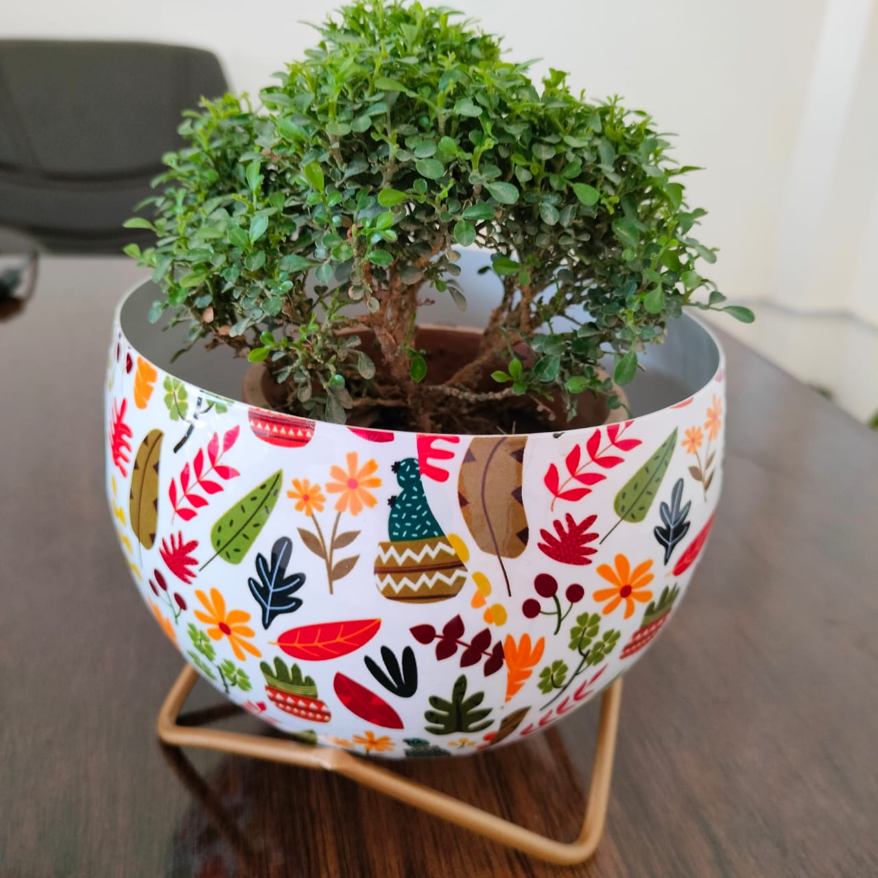 Decorative Potted Plant