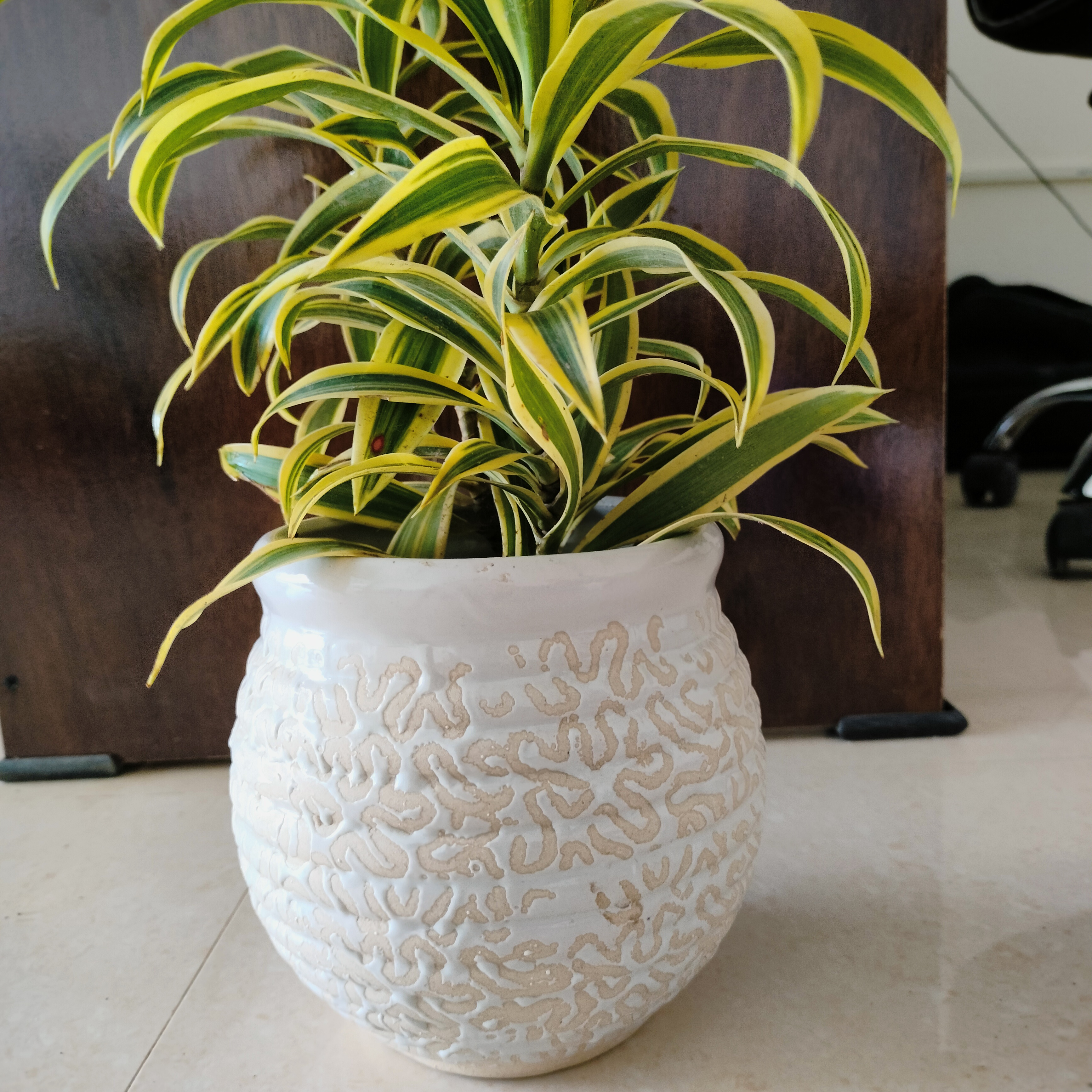 White Ceramic Handi style-8"