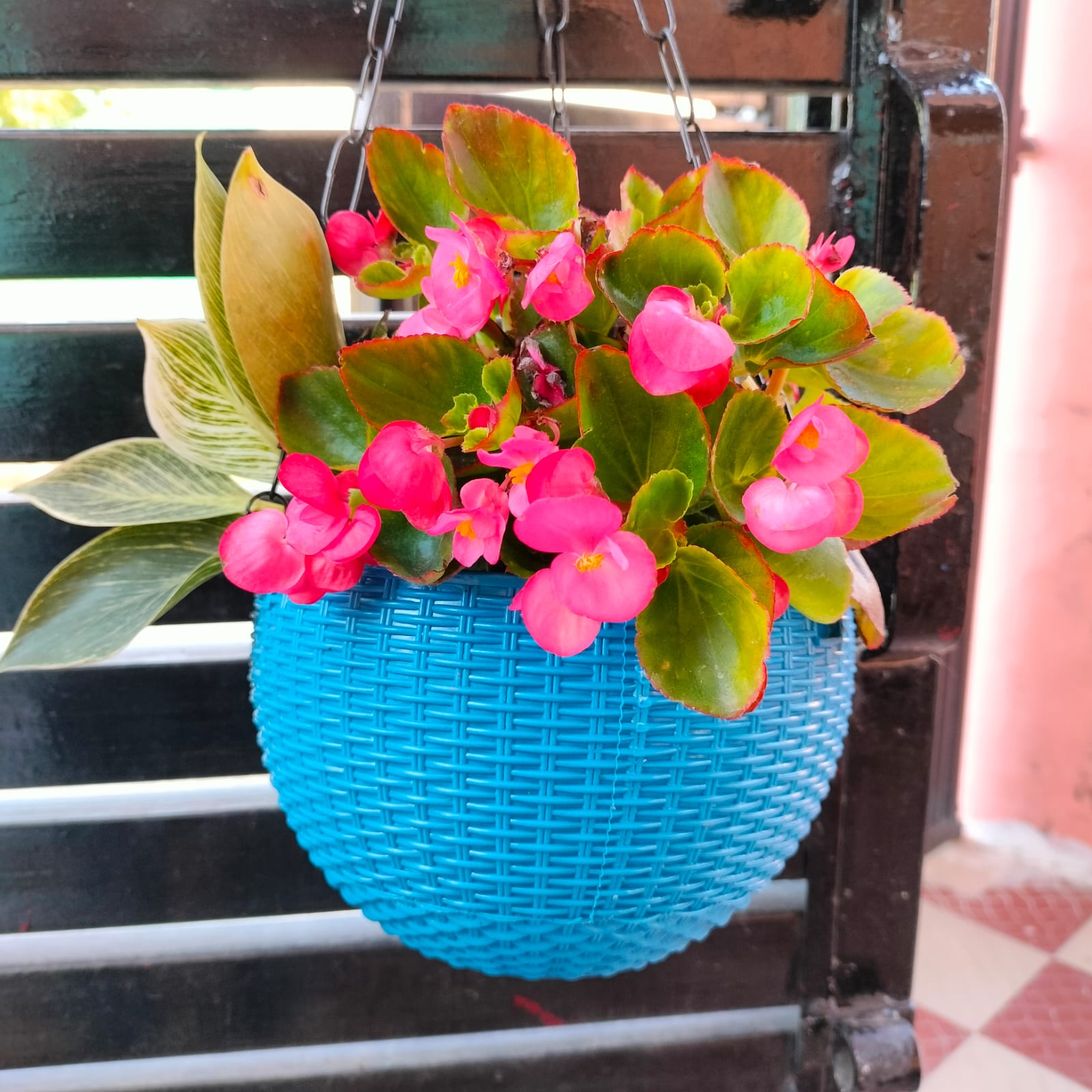 Hanging Blue Basket