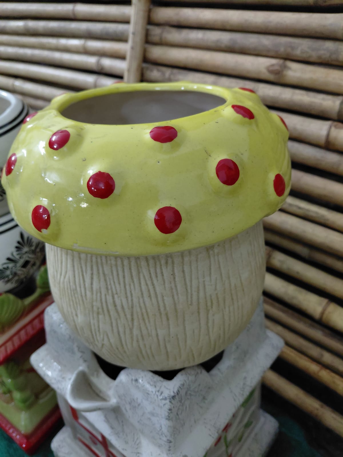 Mushroom Ceramic Pot-8"
