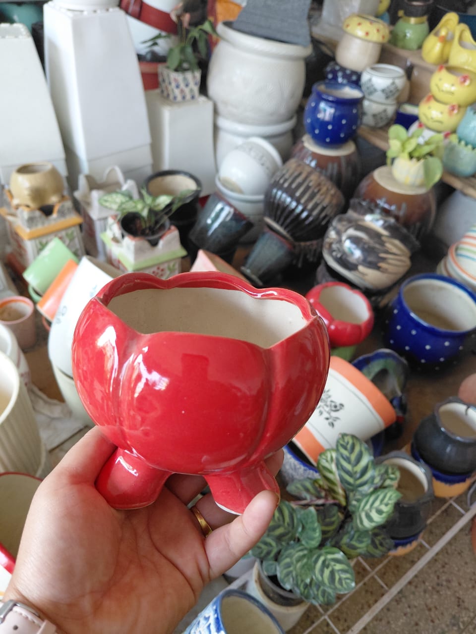 Red Ceramic Planter