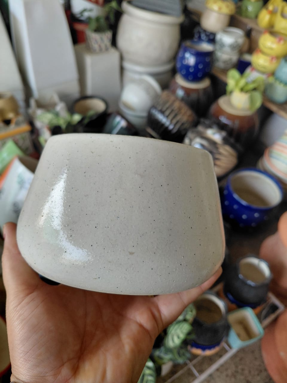 Modern Ceramic Planter