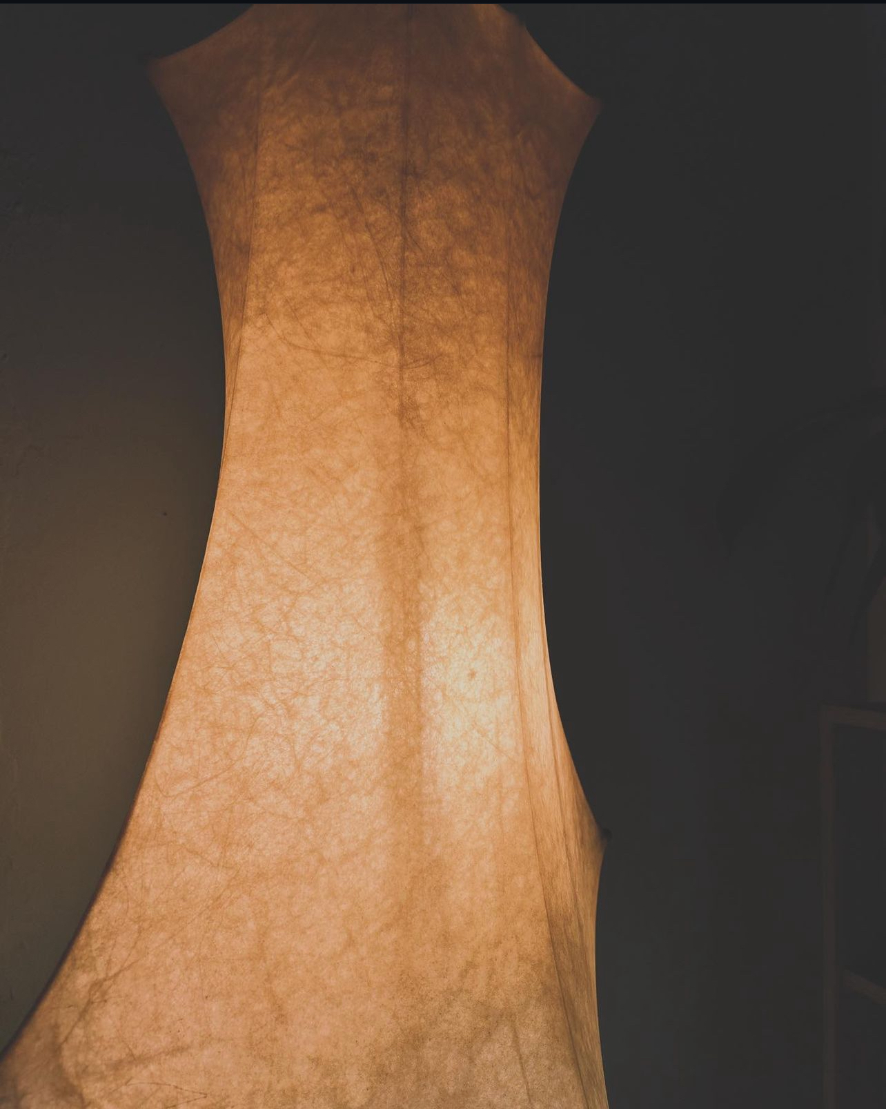 Cocoon "Fantasma" Flos floor lamp Design By Tobia Scarpa, 1960, Italy
