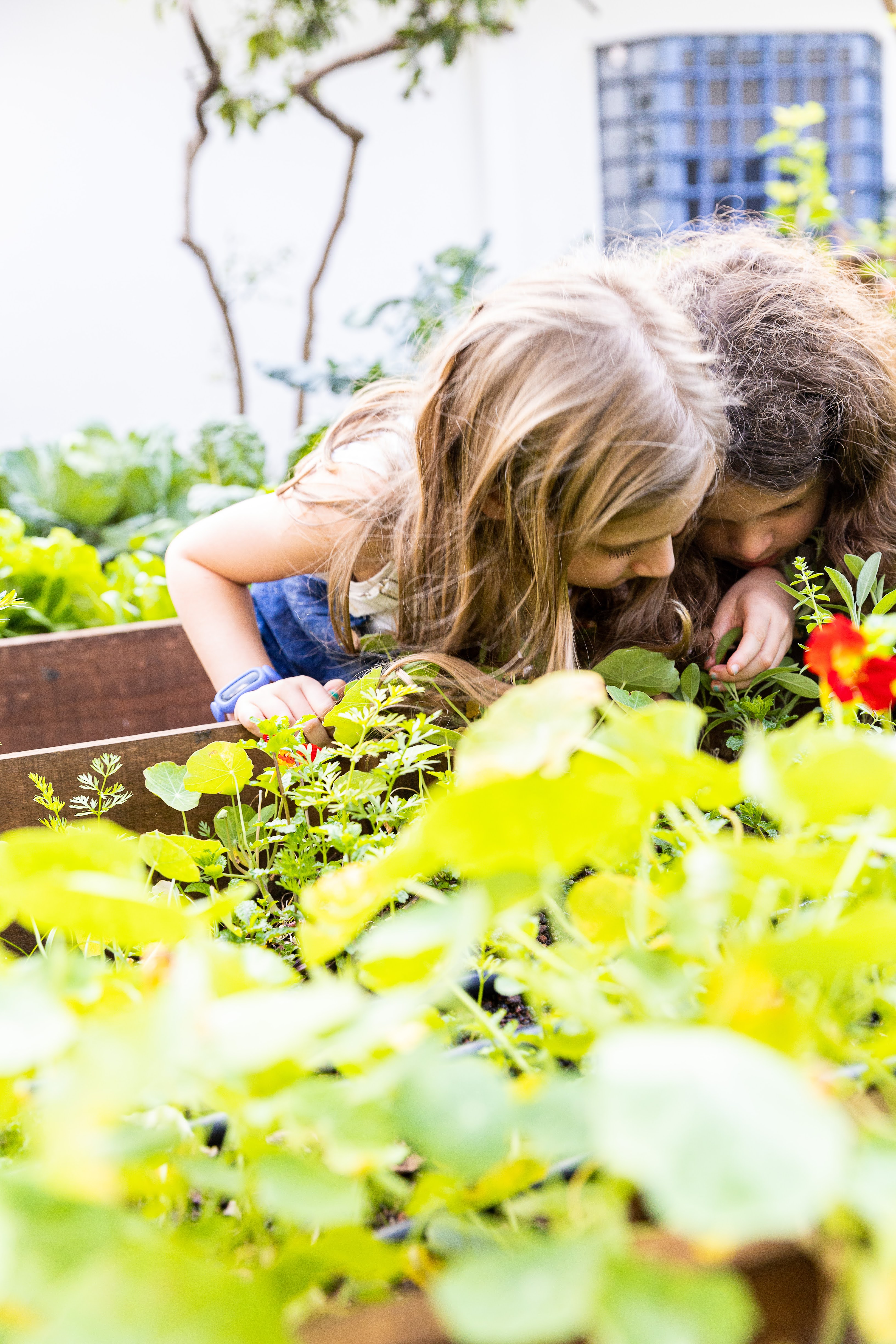 Aprendiz Bem Nutrido_Oficina Culinária Individual