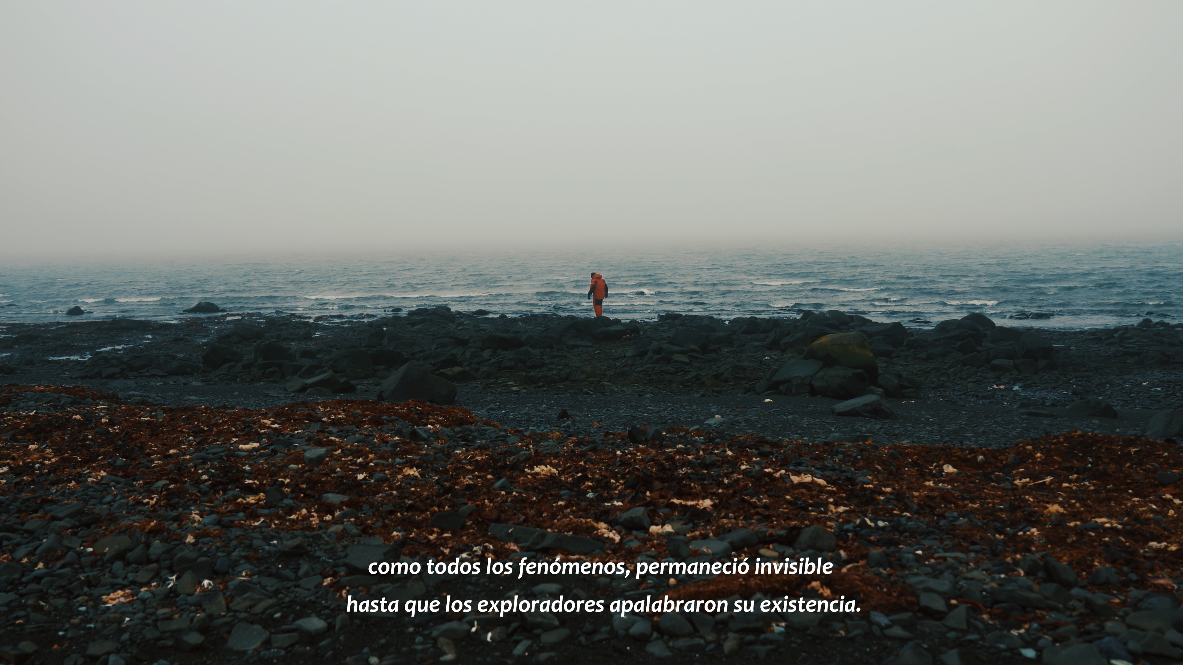 Anamnesis — Still V