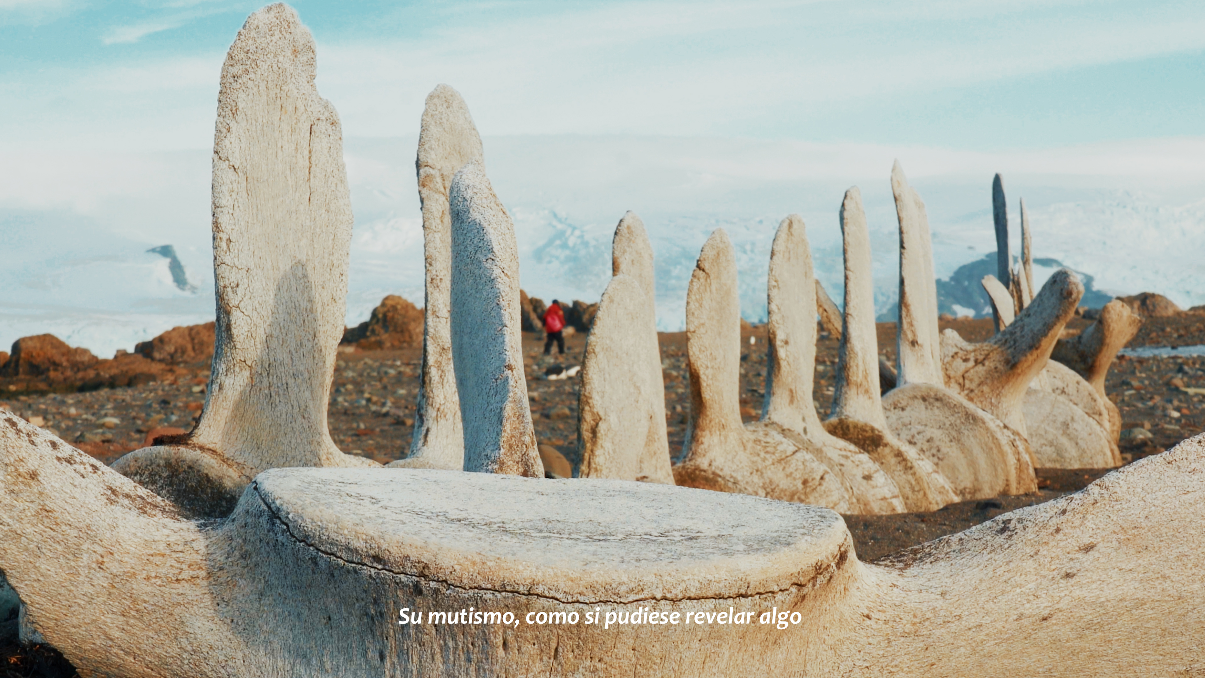 Anamnesis — Still VI"