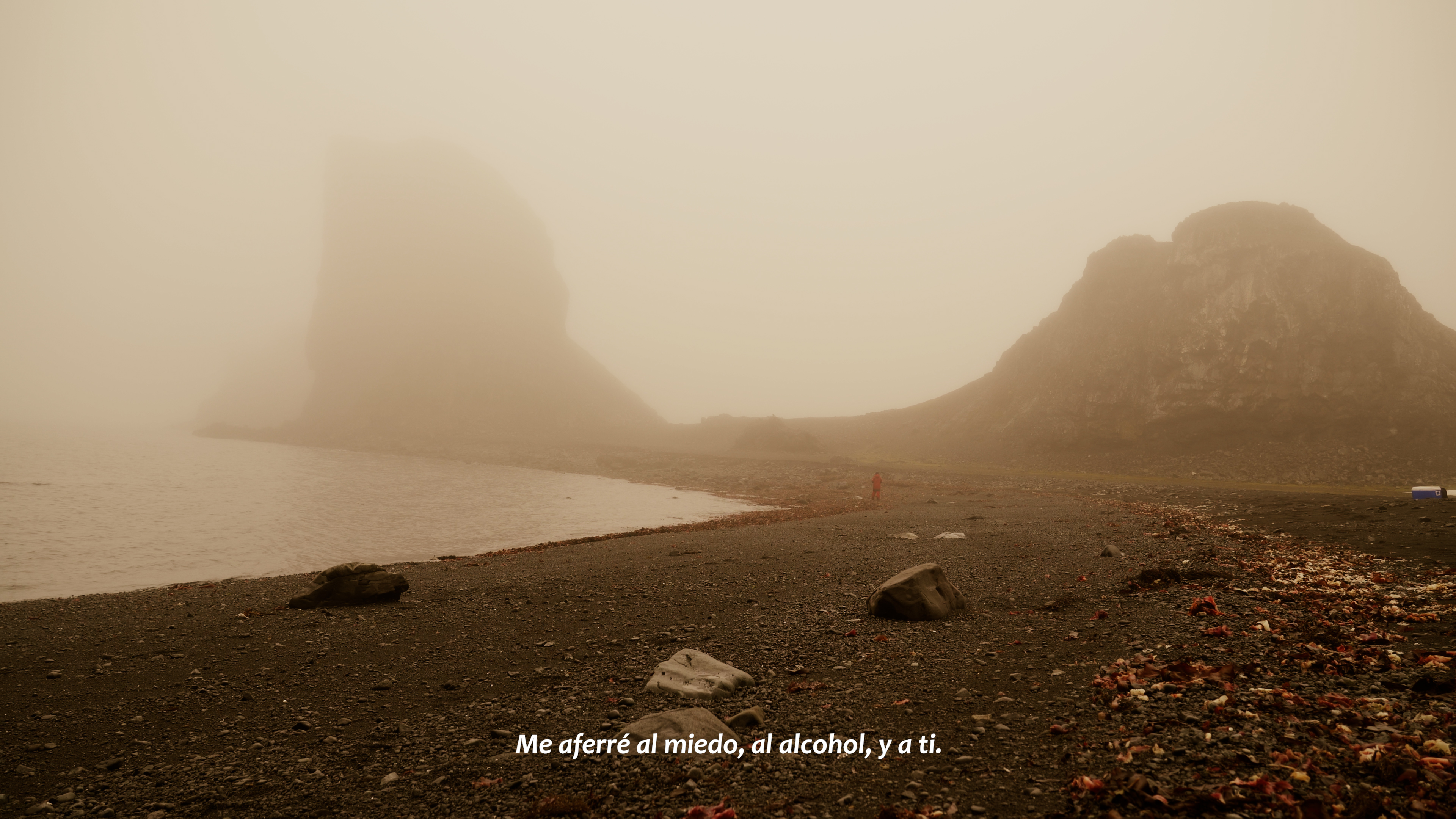 Anamnesis — Still VI