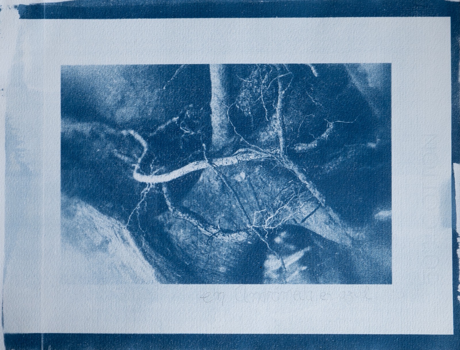 En Andrómeda es azul 1