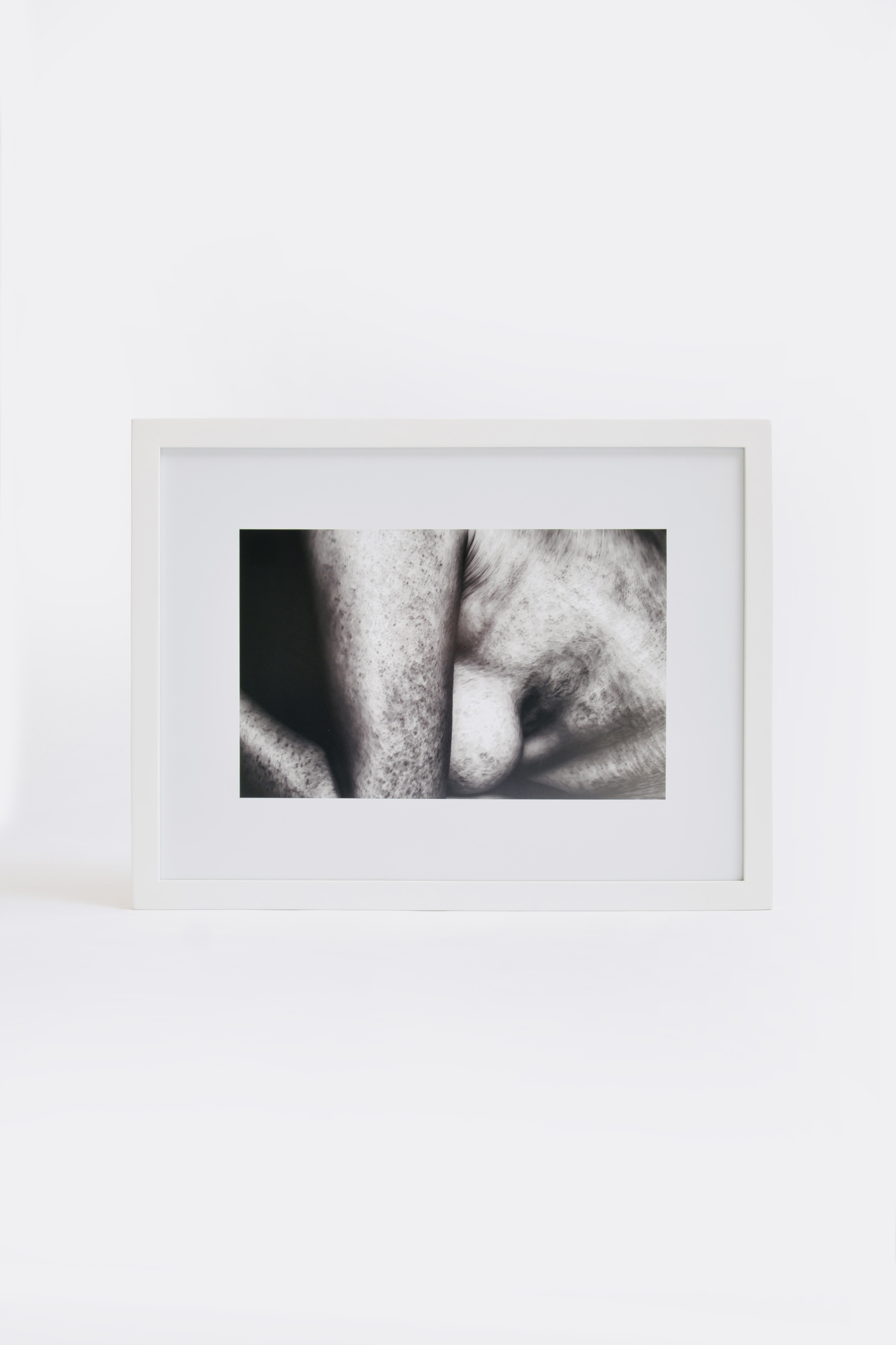 La piel que habita 1