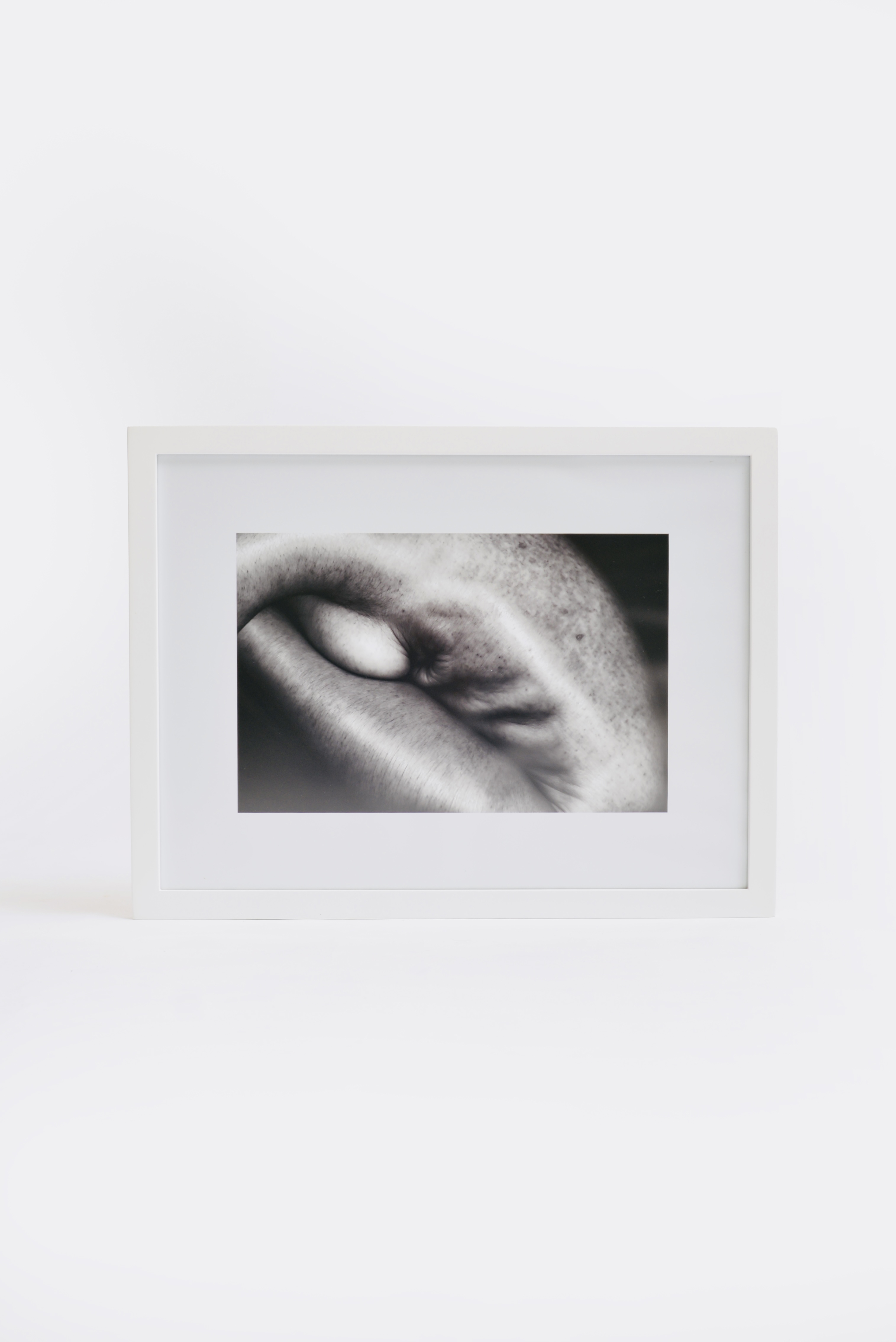 La piel que habita 2