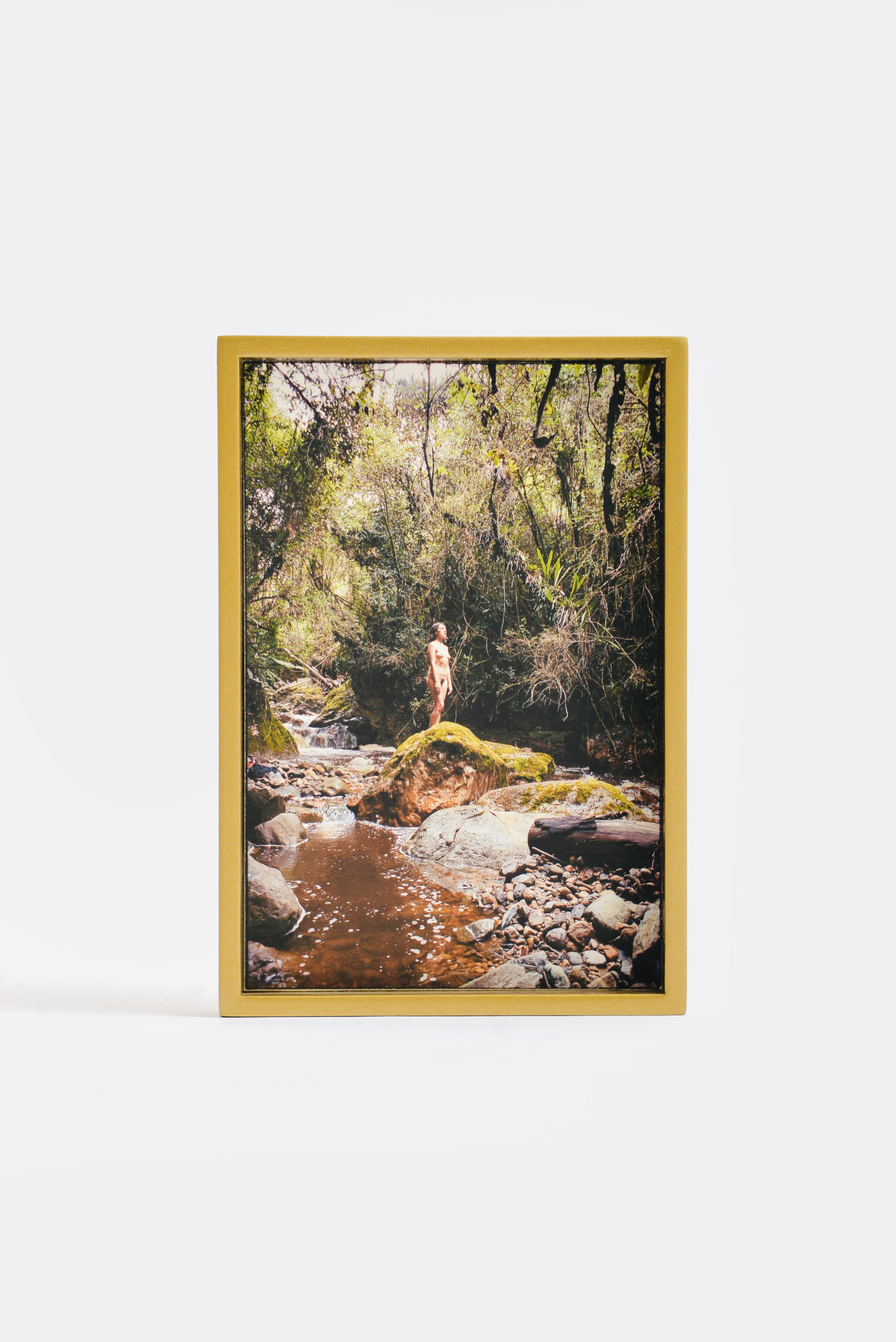 "Sin título", de la serie Quimera