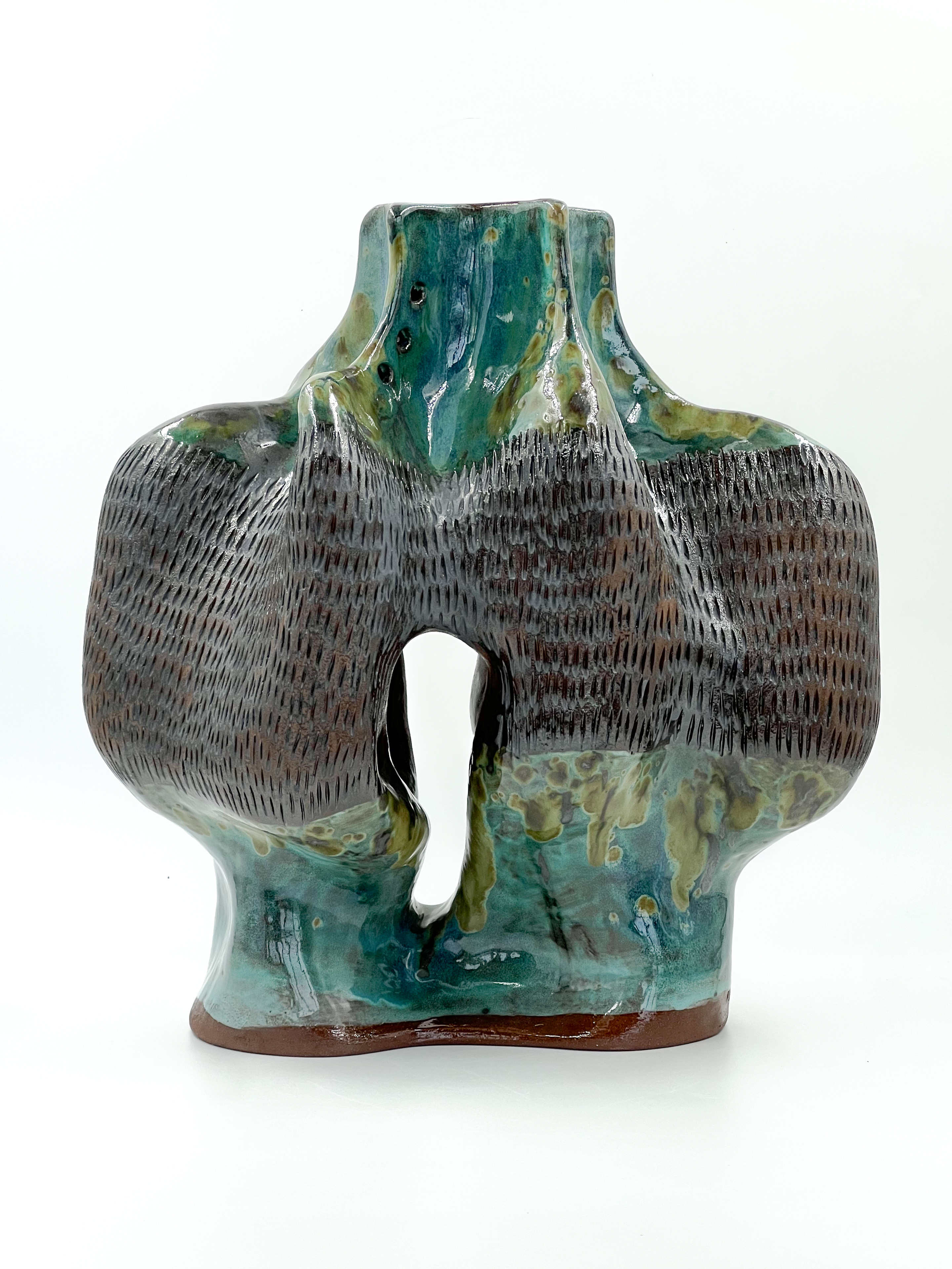 Portales del páramo I