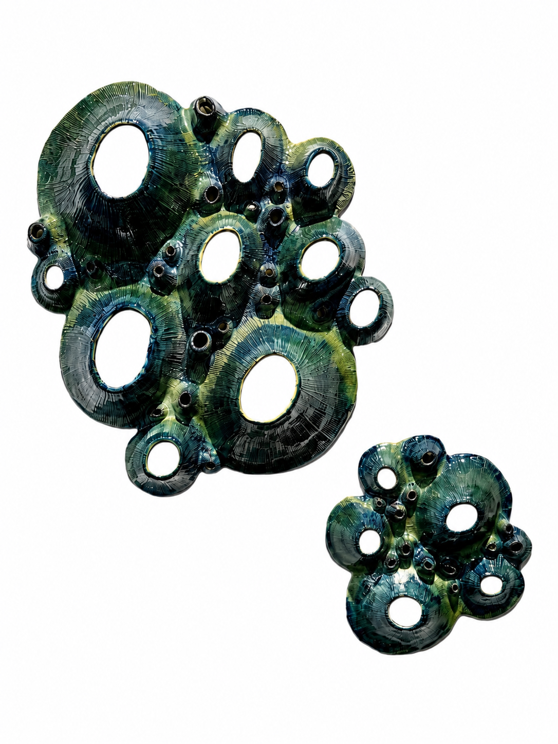 Fragmento de un coral
